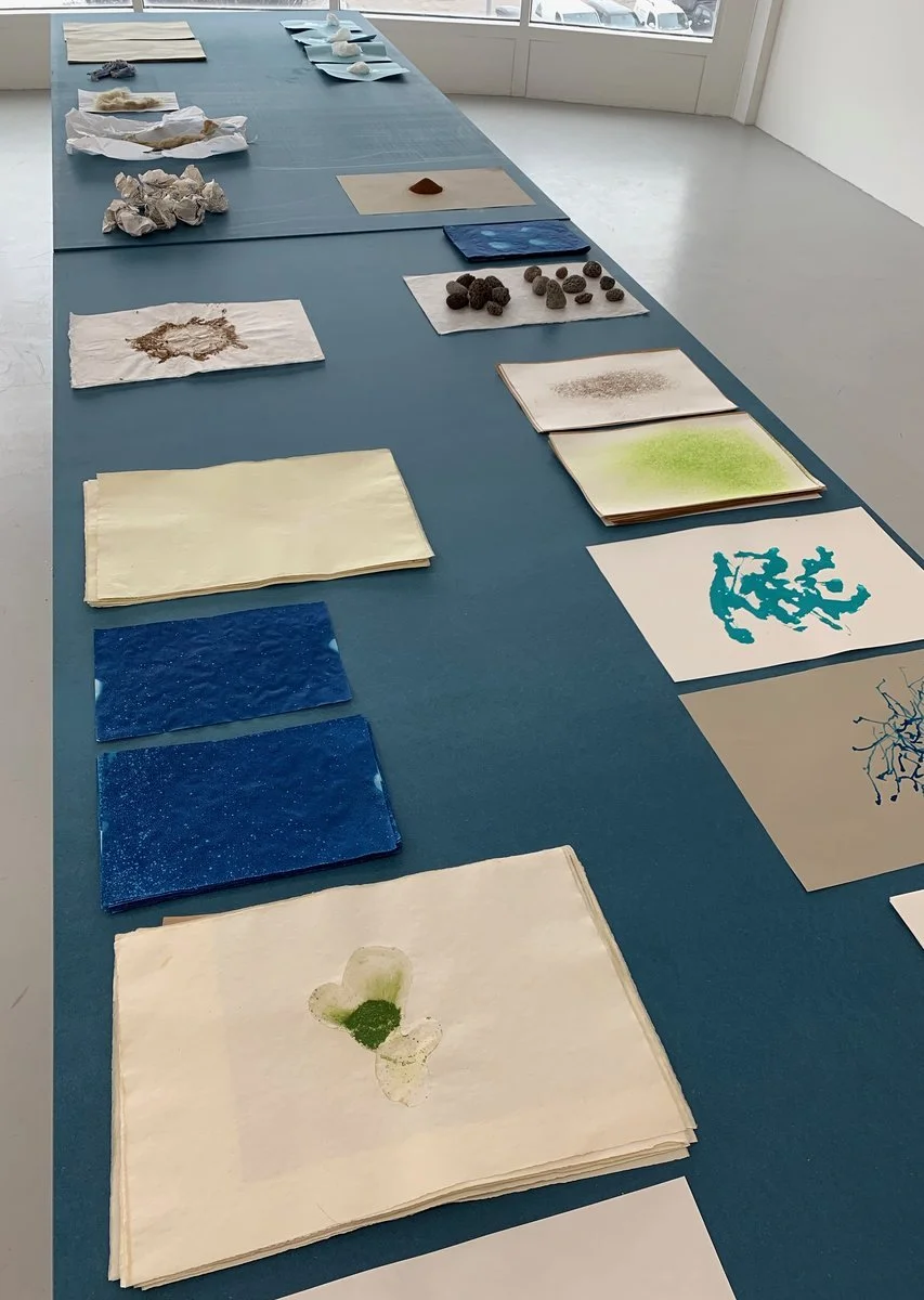 IMG_4808 (kopia)_1200.jpg