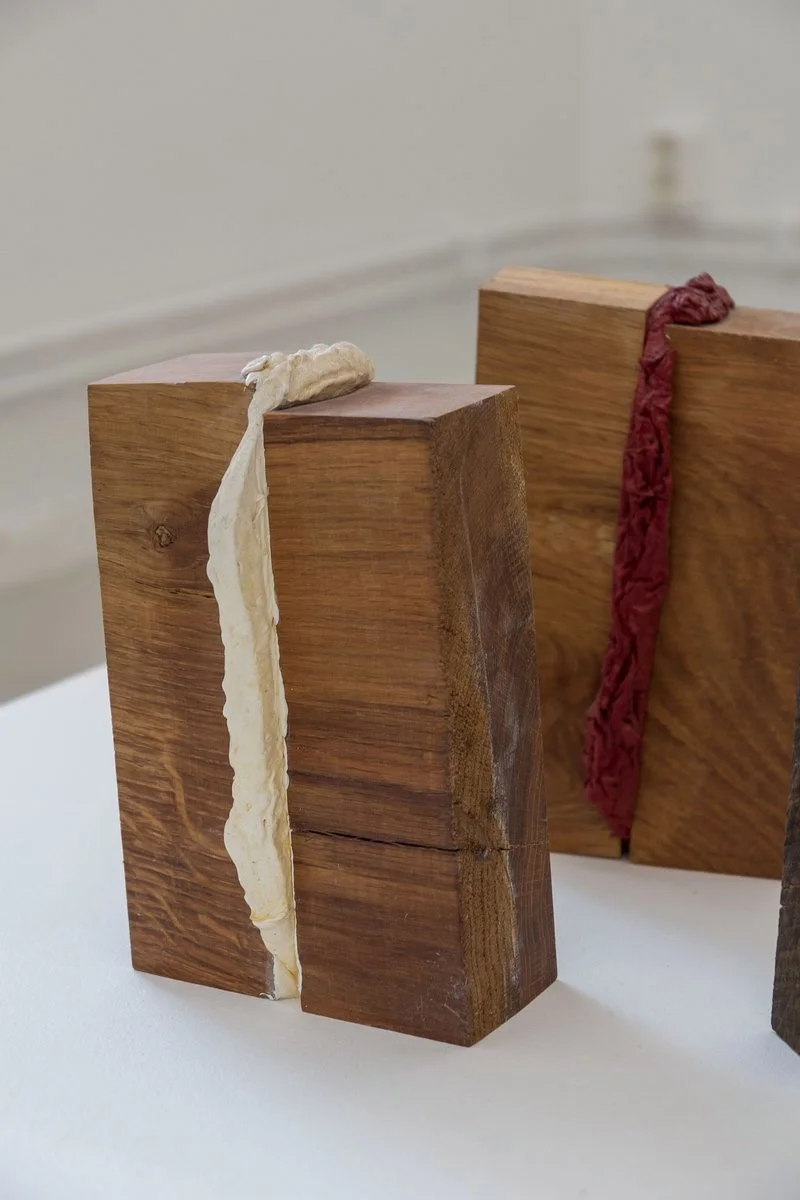 Press Painting, oil, acrylic and adhesive on support, ongoing