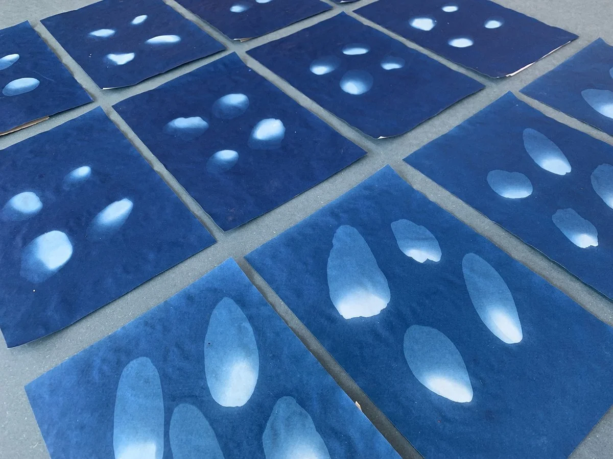 IMG_4856 (kopia 2)_1200.jpg