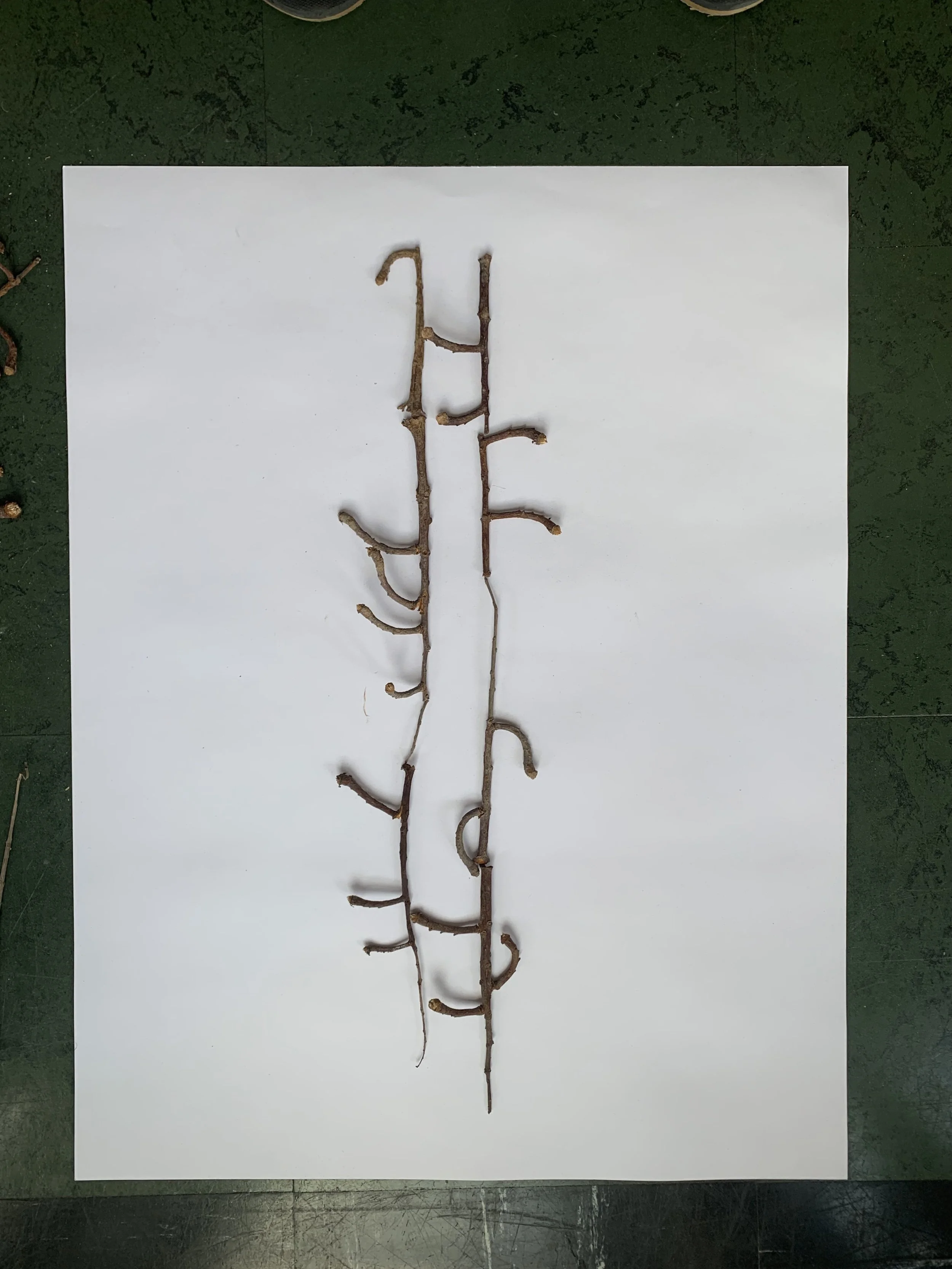 torbjor_johansson_The Machine.11.jpeg