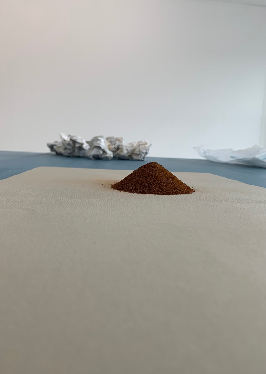 IMG_4816 (kopia)_1200.jpg