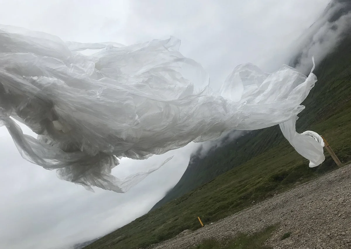 IMG_3521 (kopia)_1200.jpg