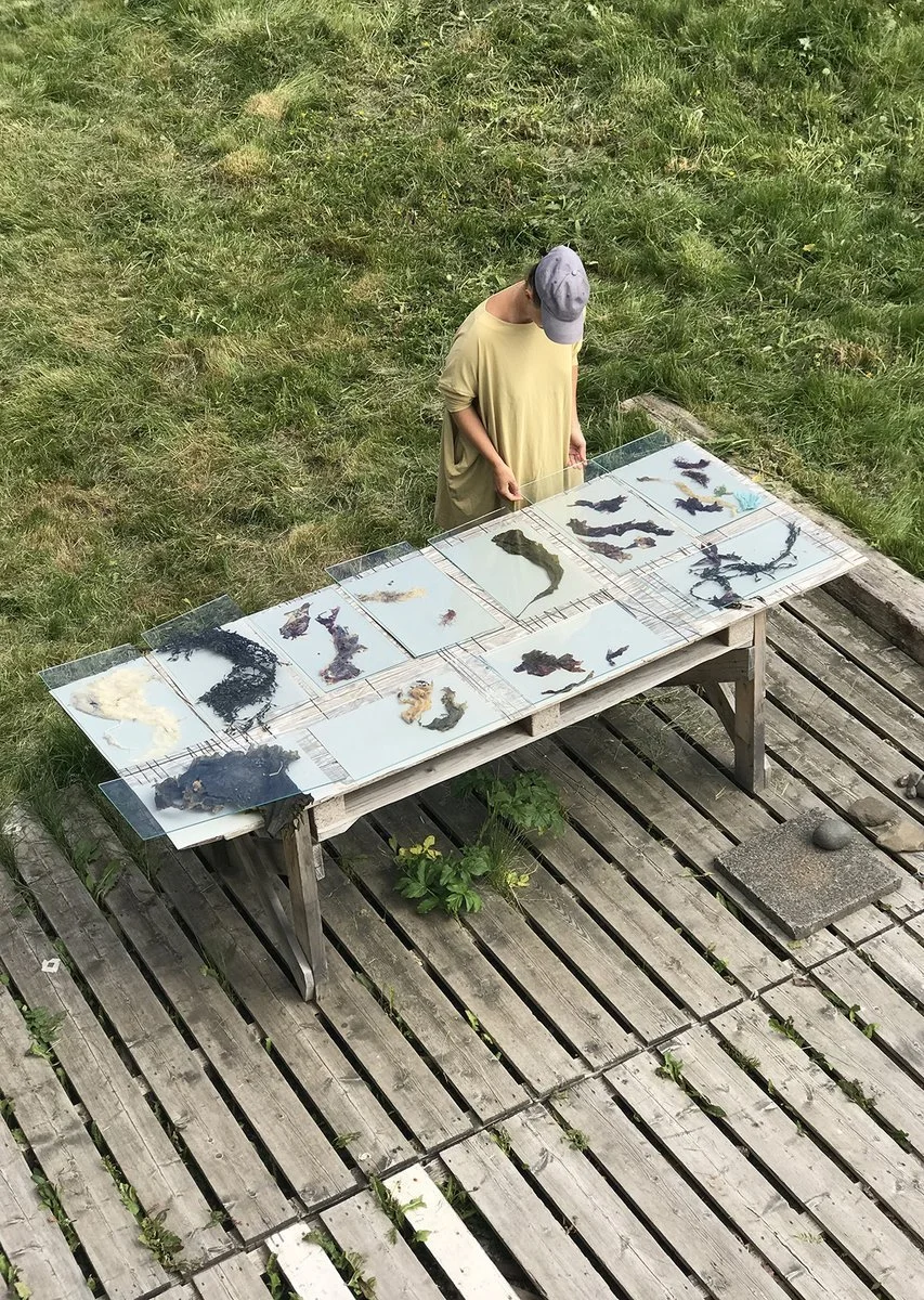 IMG_2368 (kopia)_1200.jpg