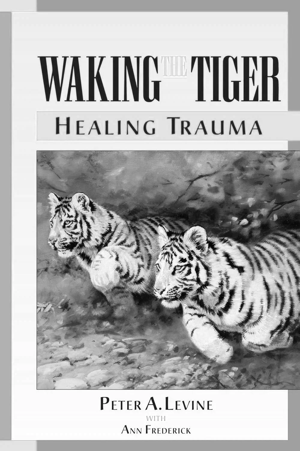 Waking+the+Tiger.jpg