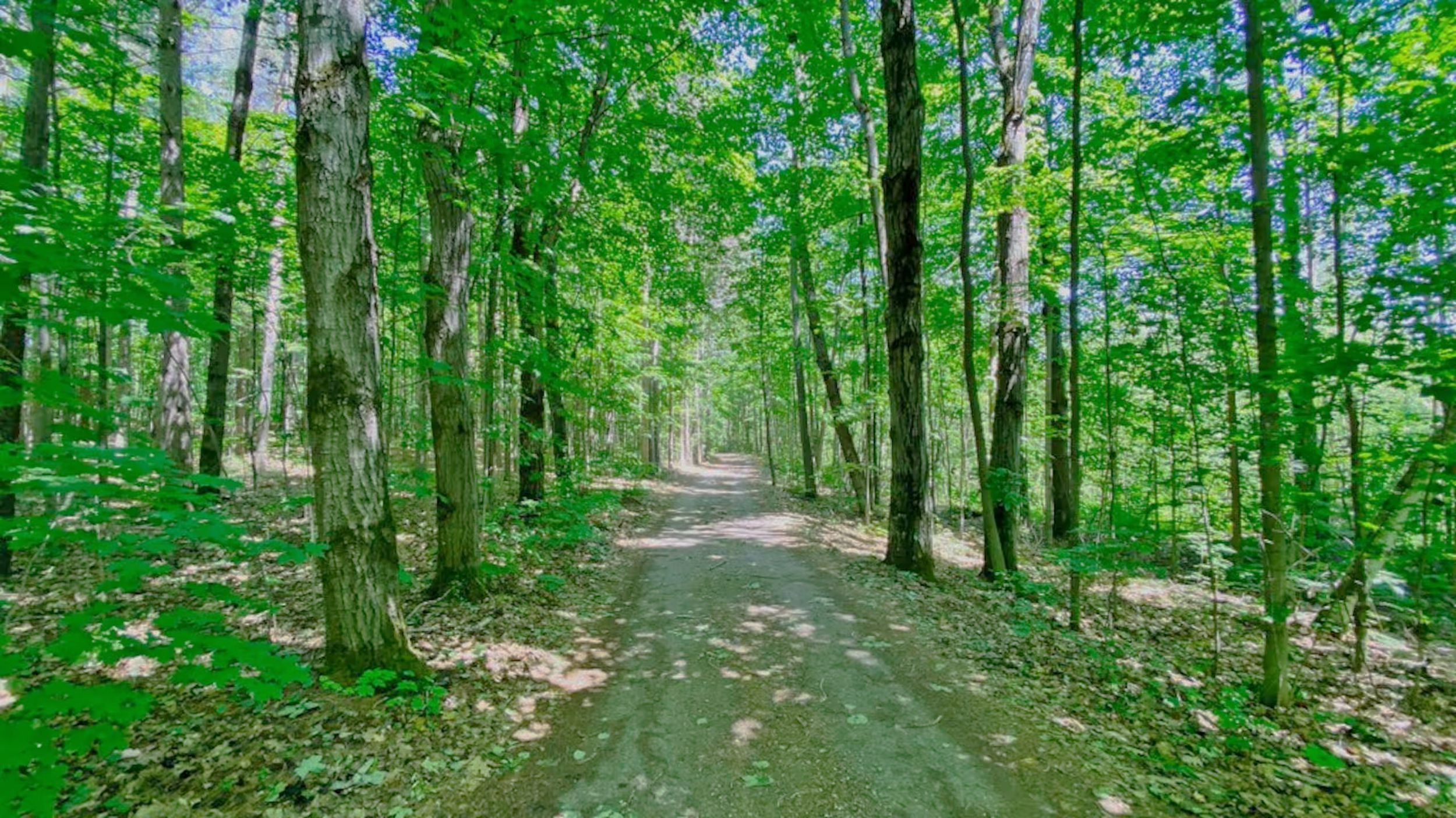 Nature walks