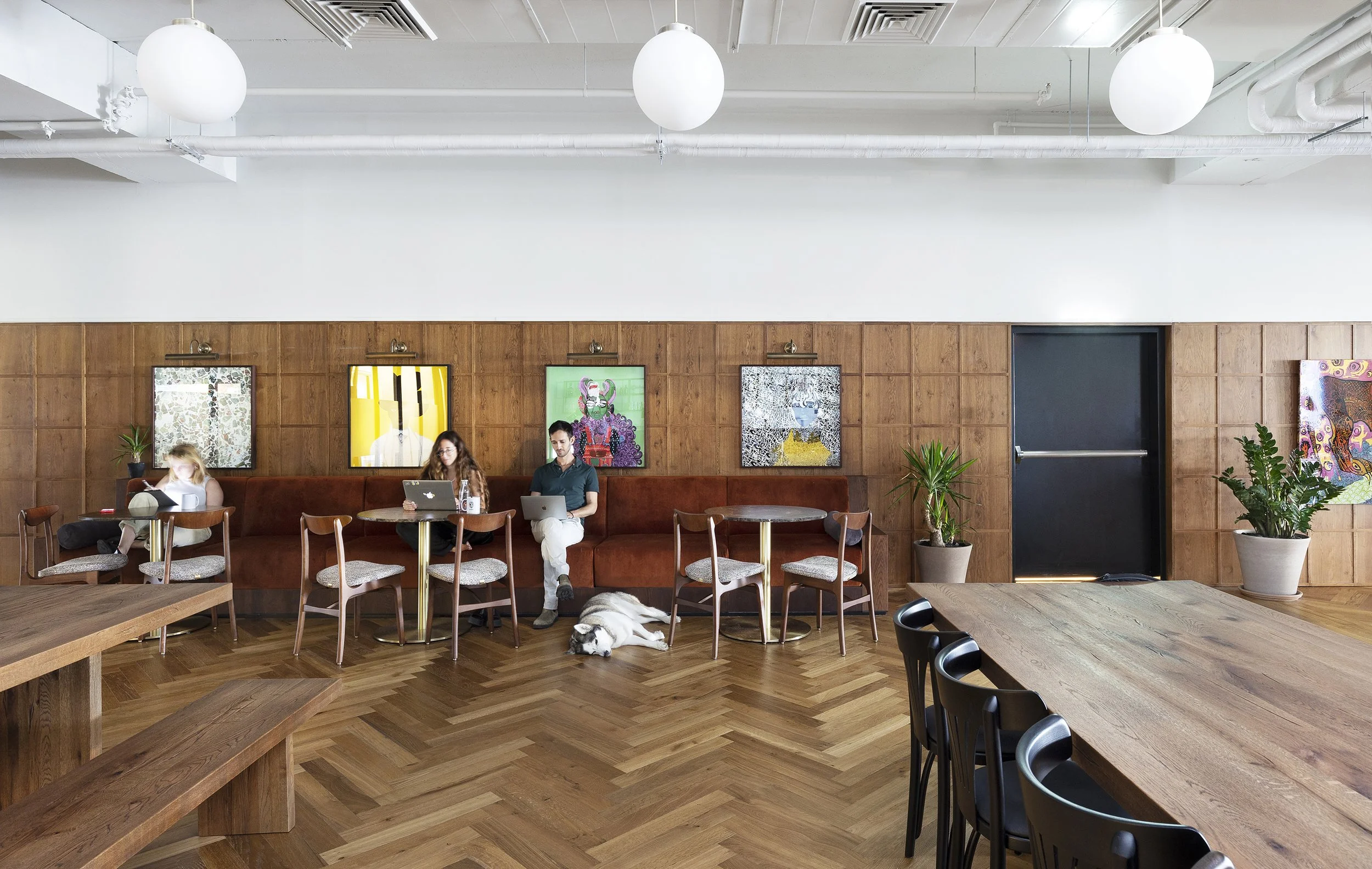 Copy of 705A9793 copy.jpg