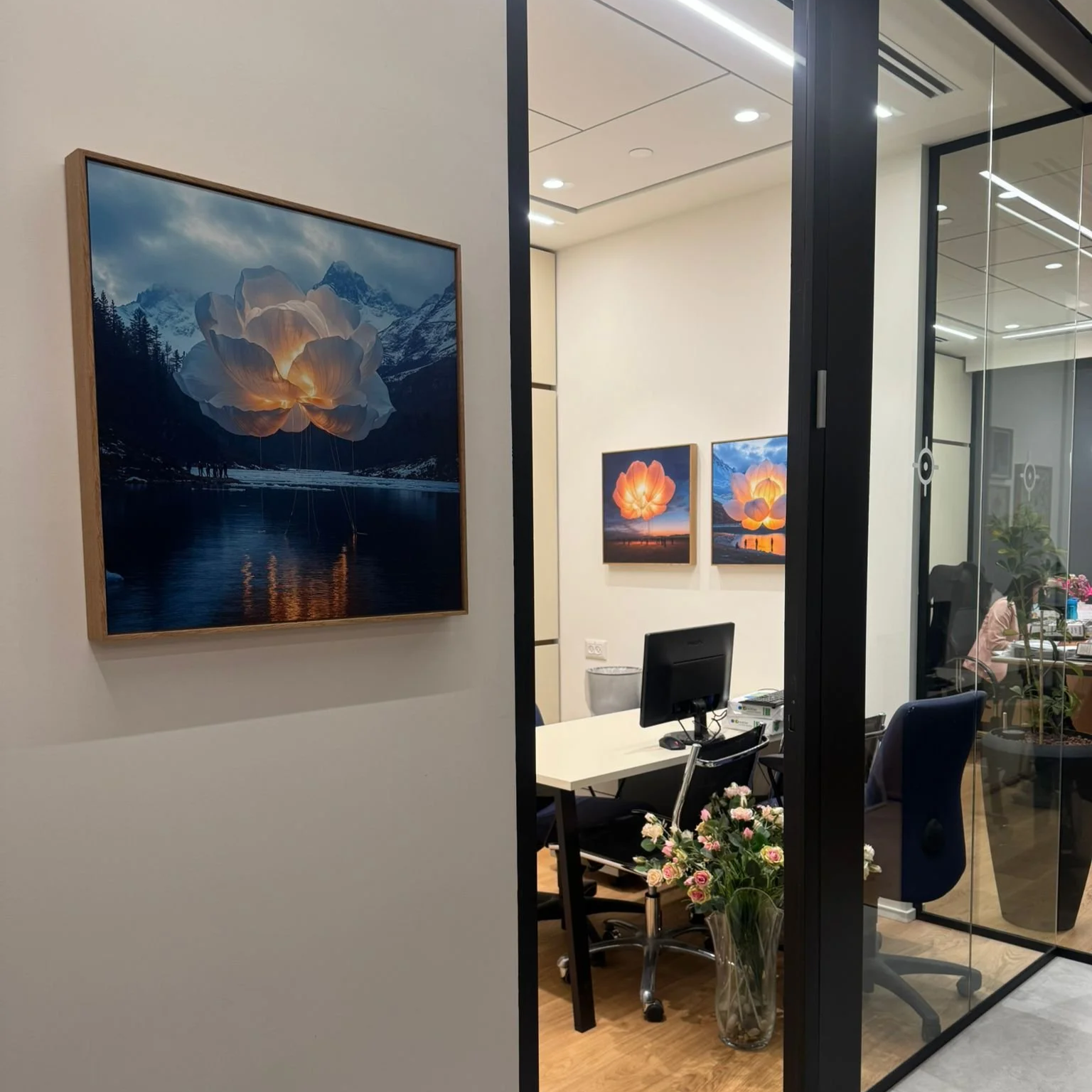 D.Brotfeld & co Law Firm.