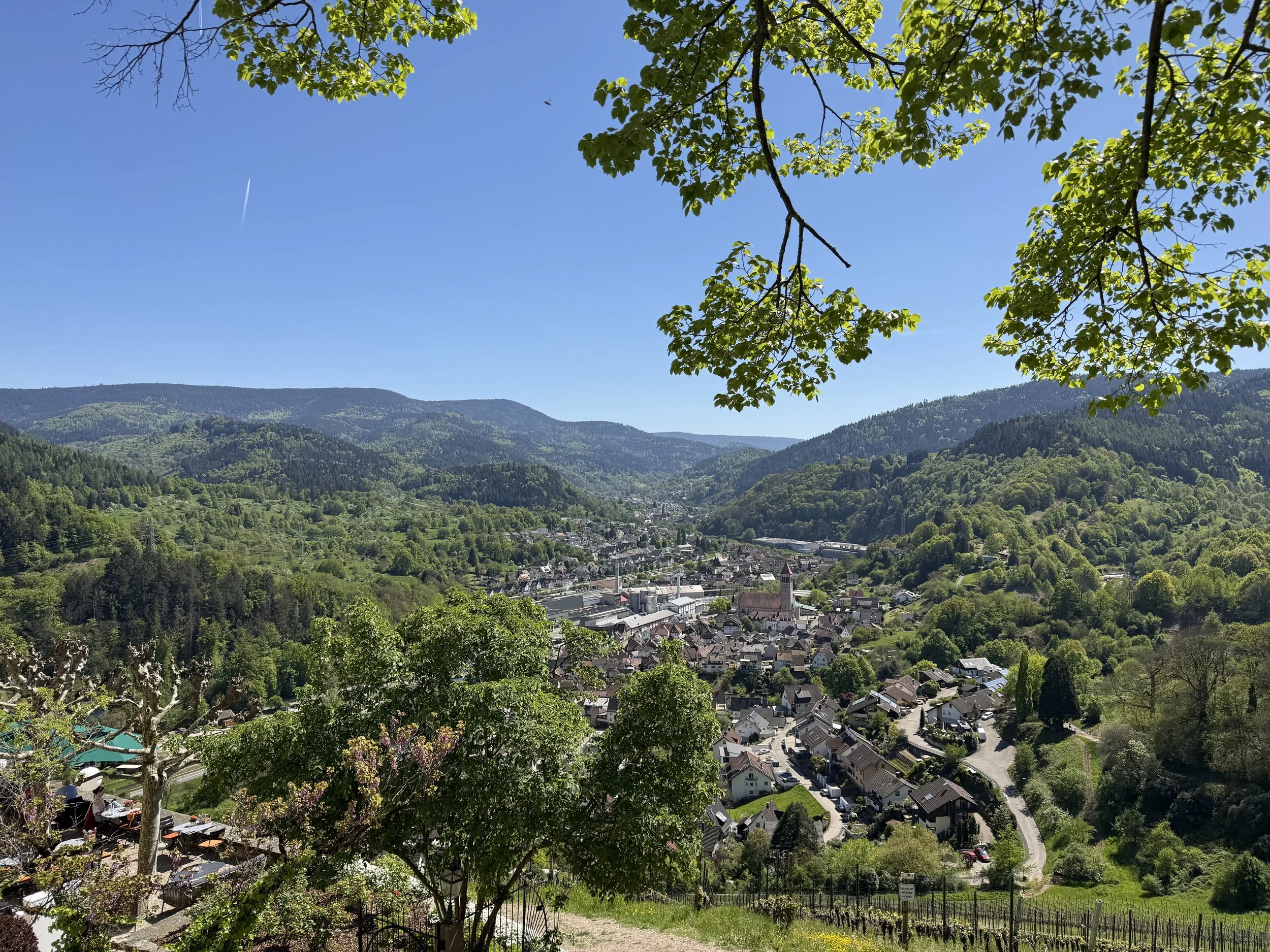 IMG_6147.jpg