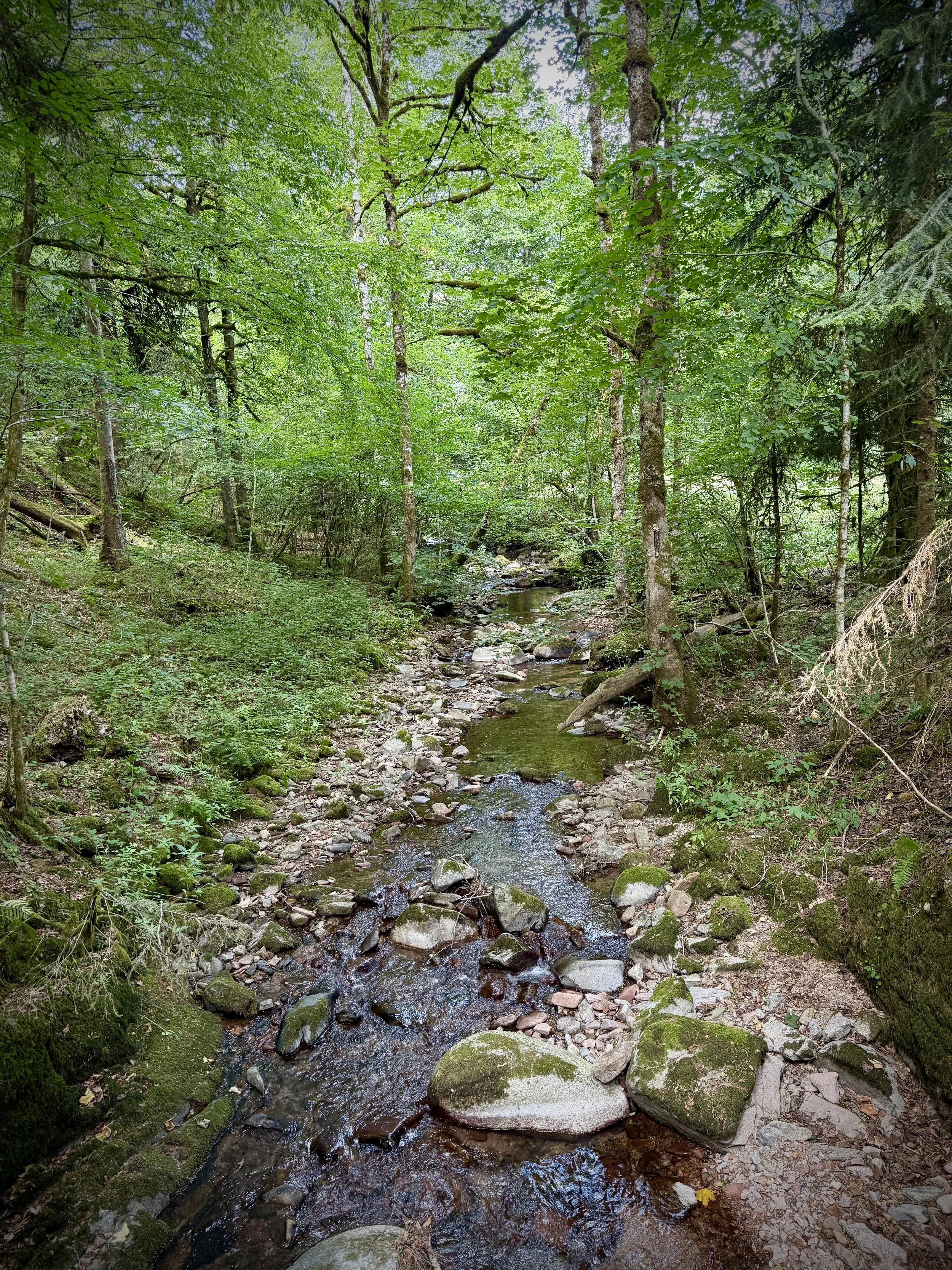 IMG_8483.jpg