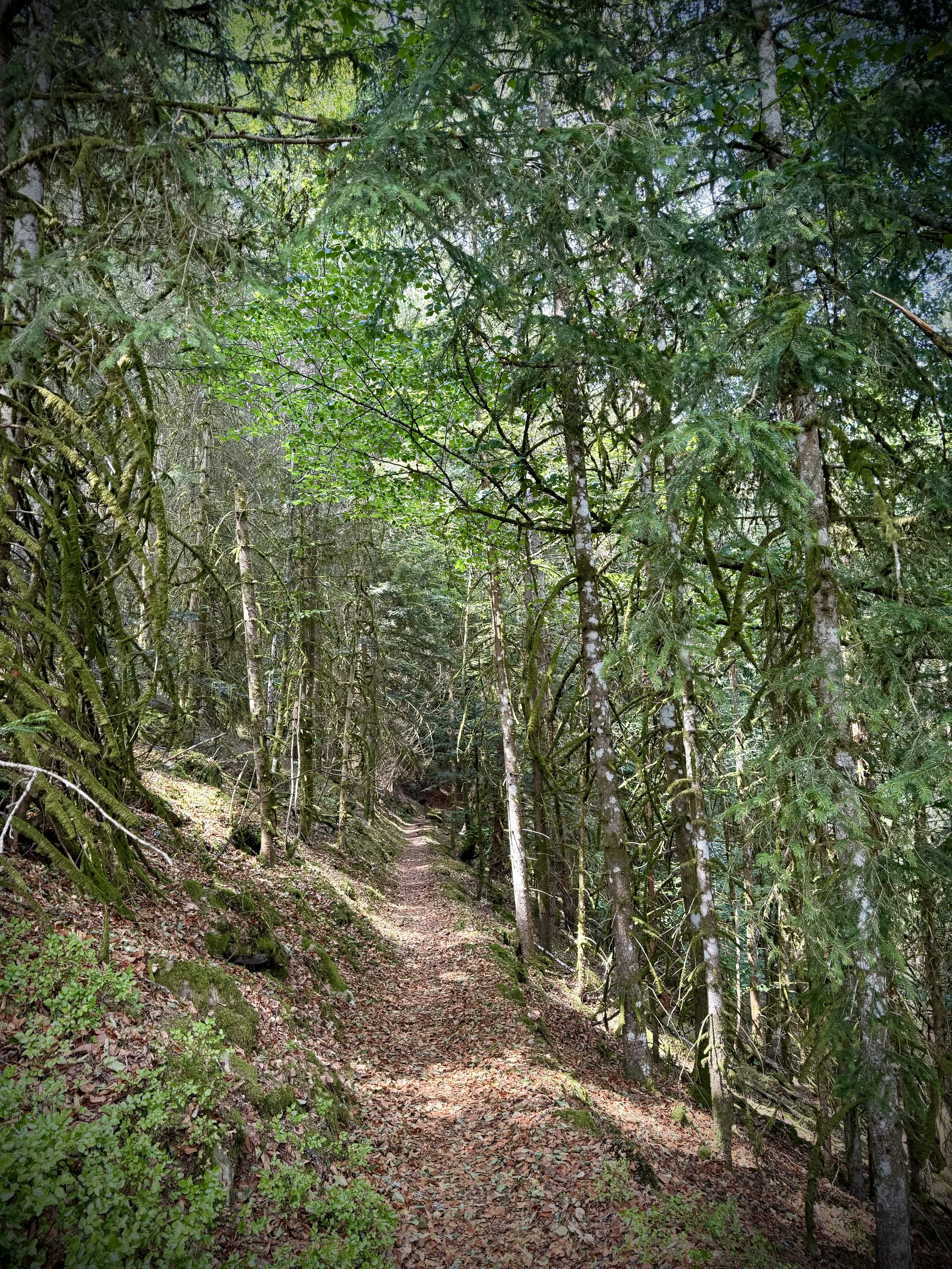 IMG_8507.jpg