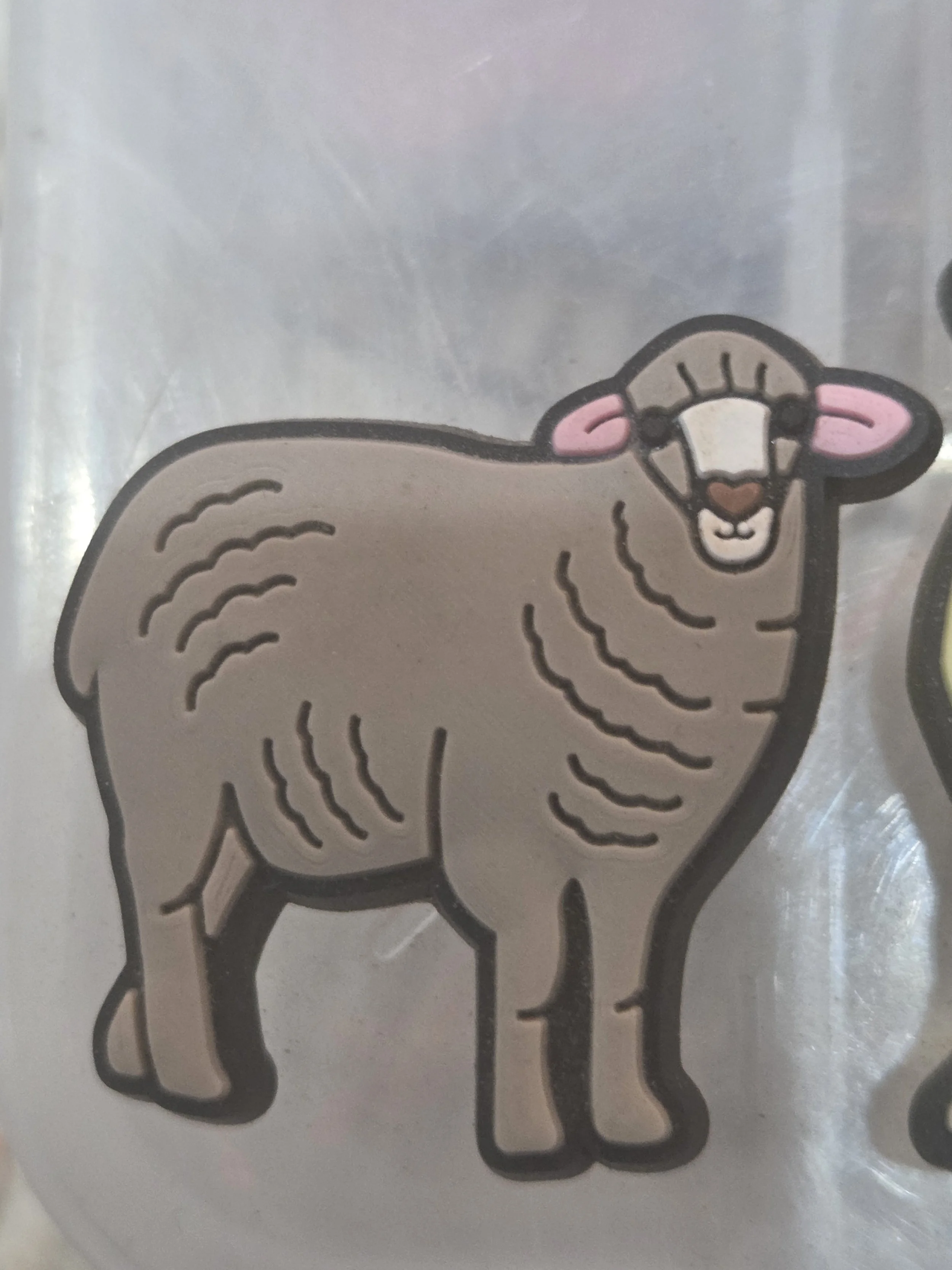 Sheep