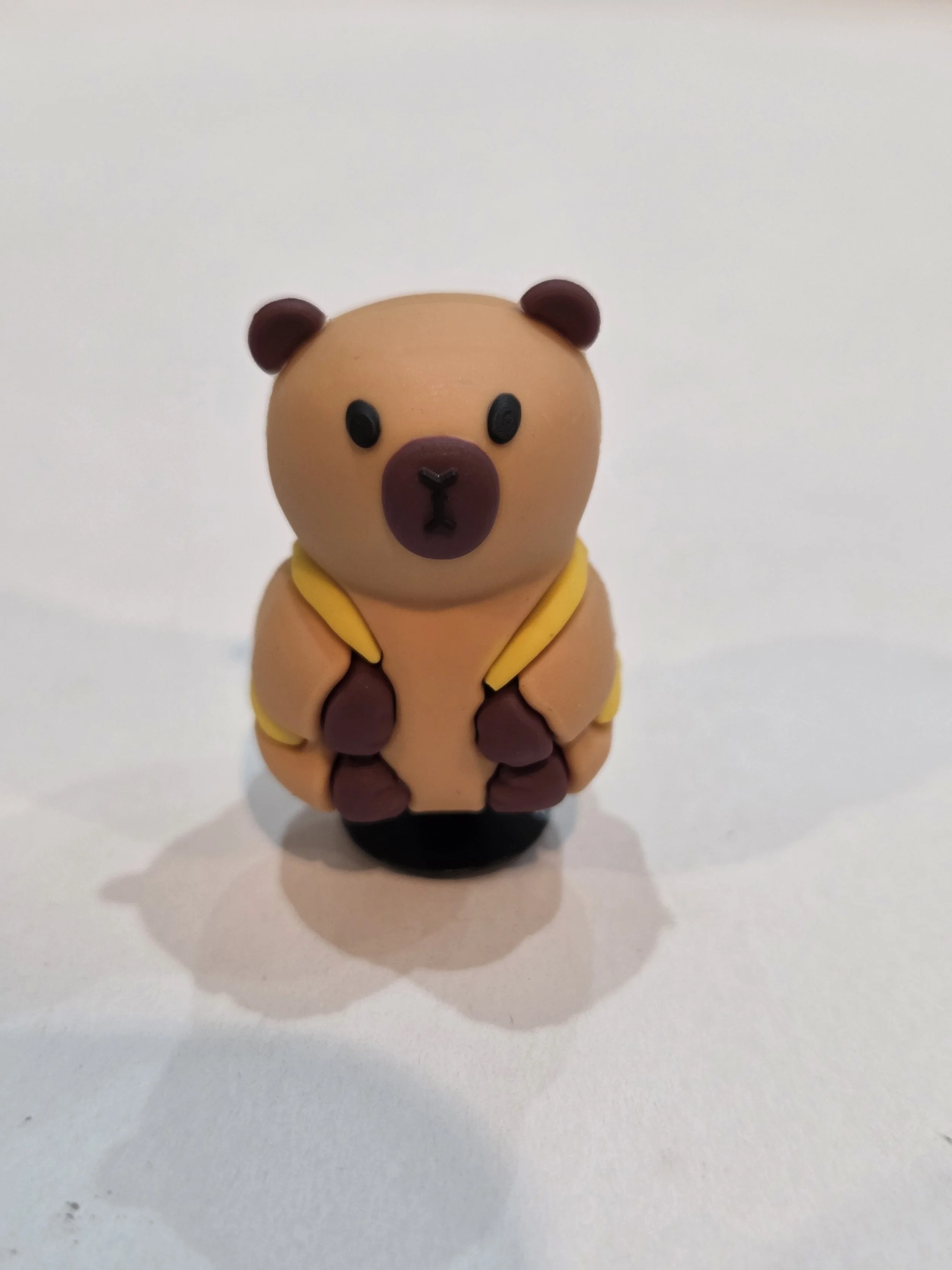 Capybara 3D