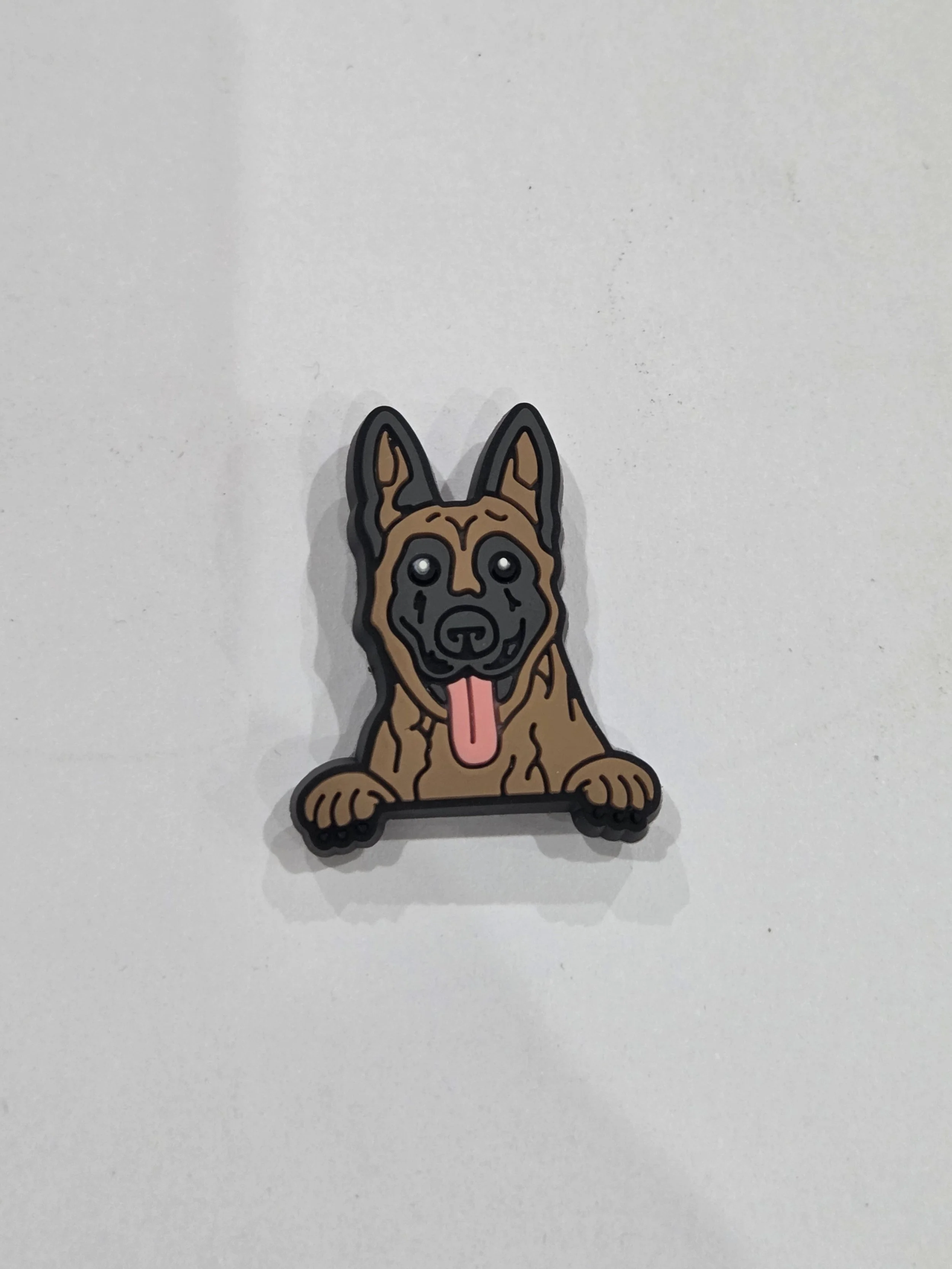 Belgian Malinois Dog