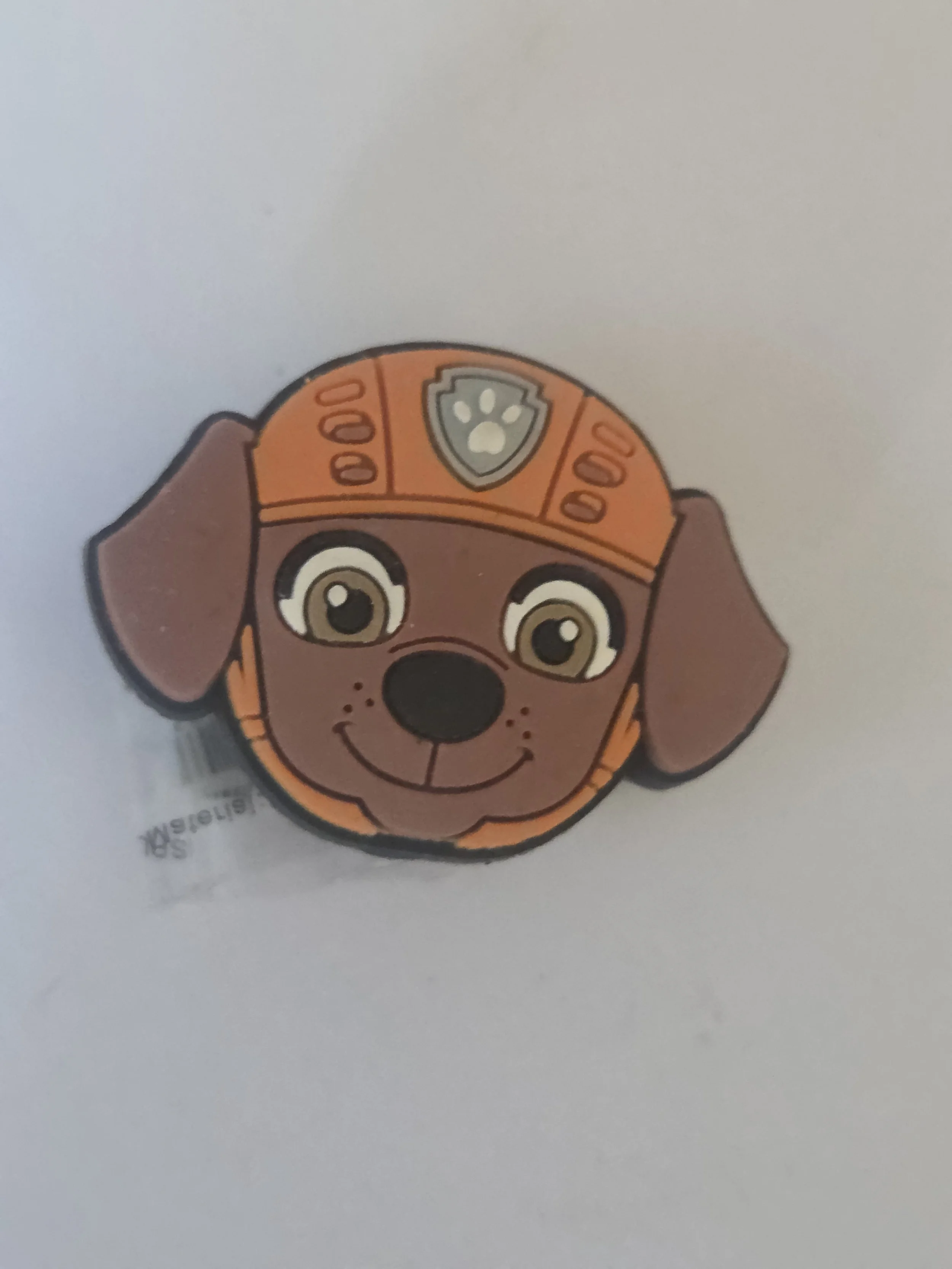 1000041136.jpg