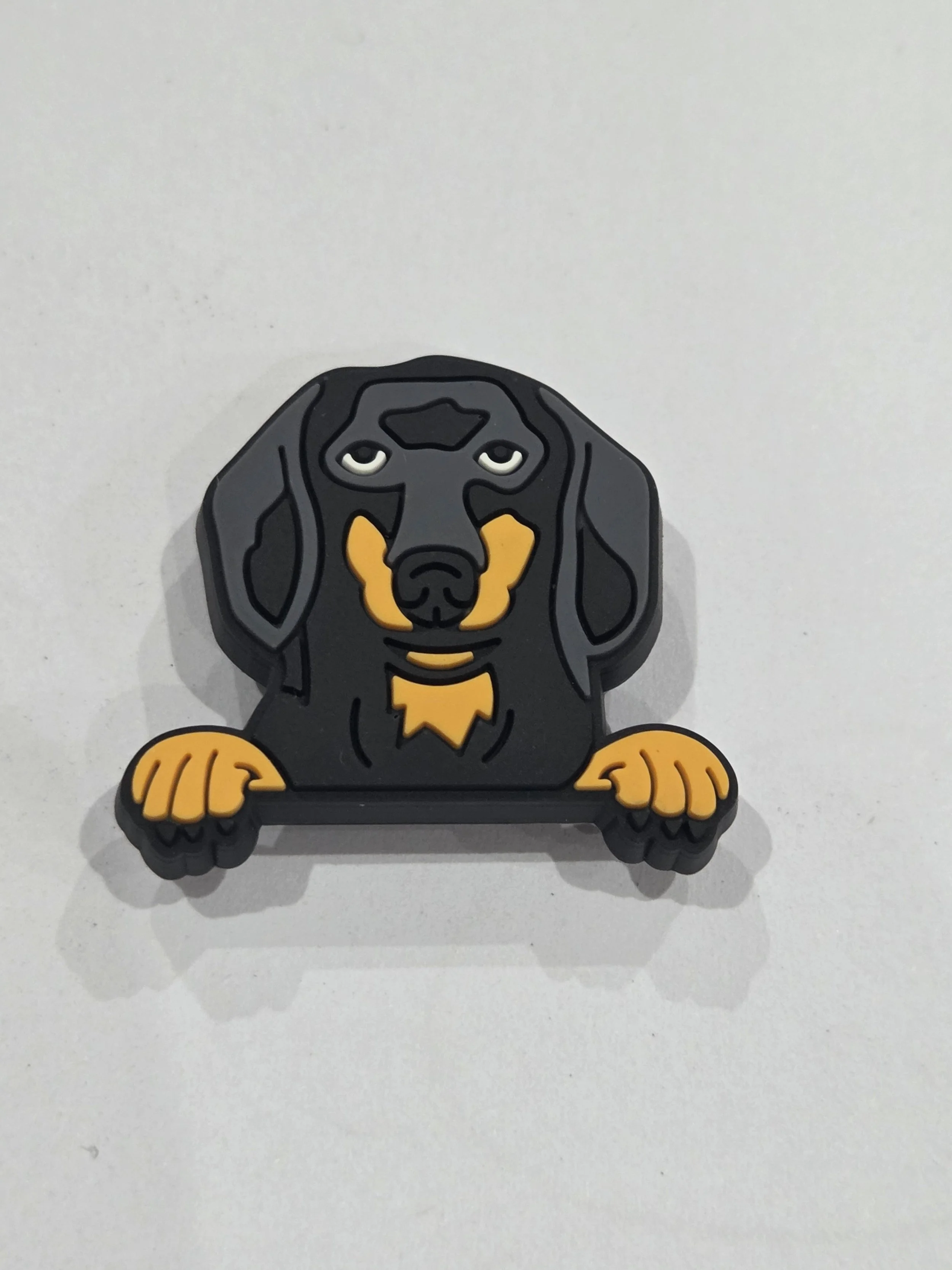 Dachshund