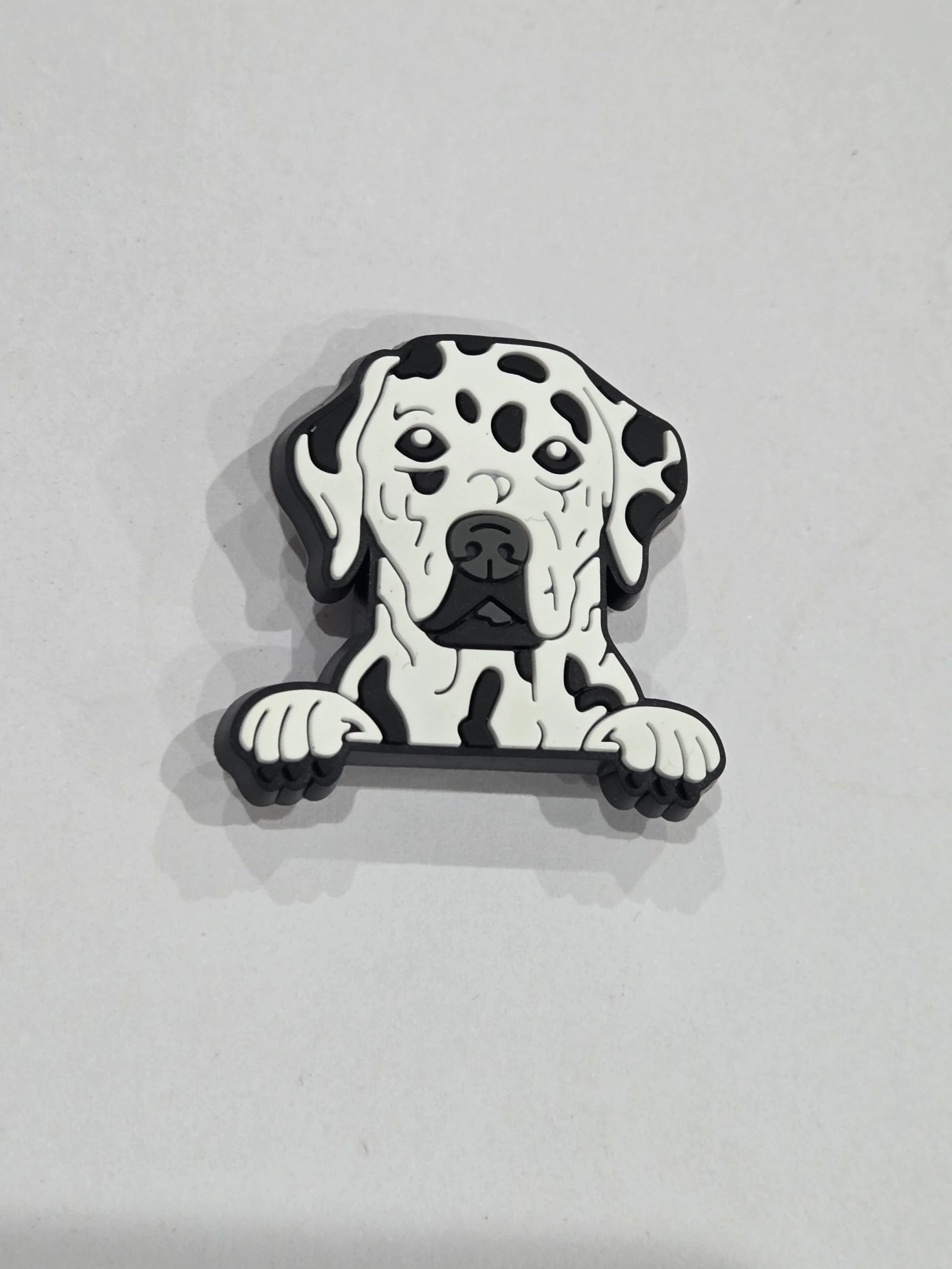 Dalmation