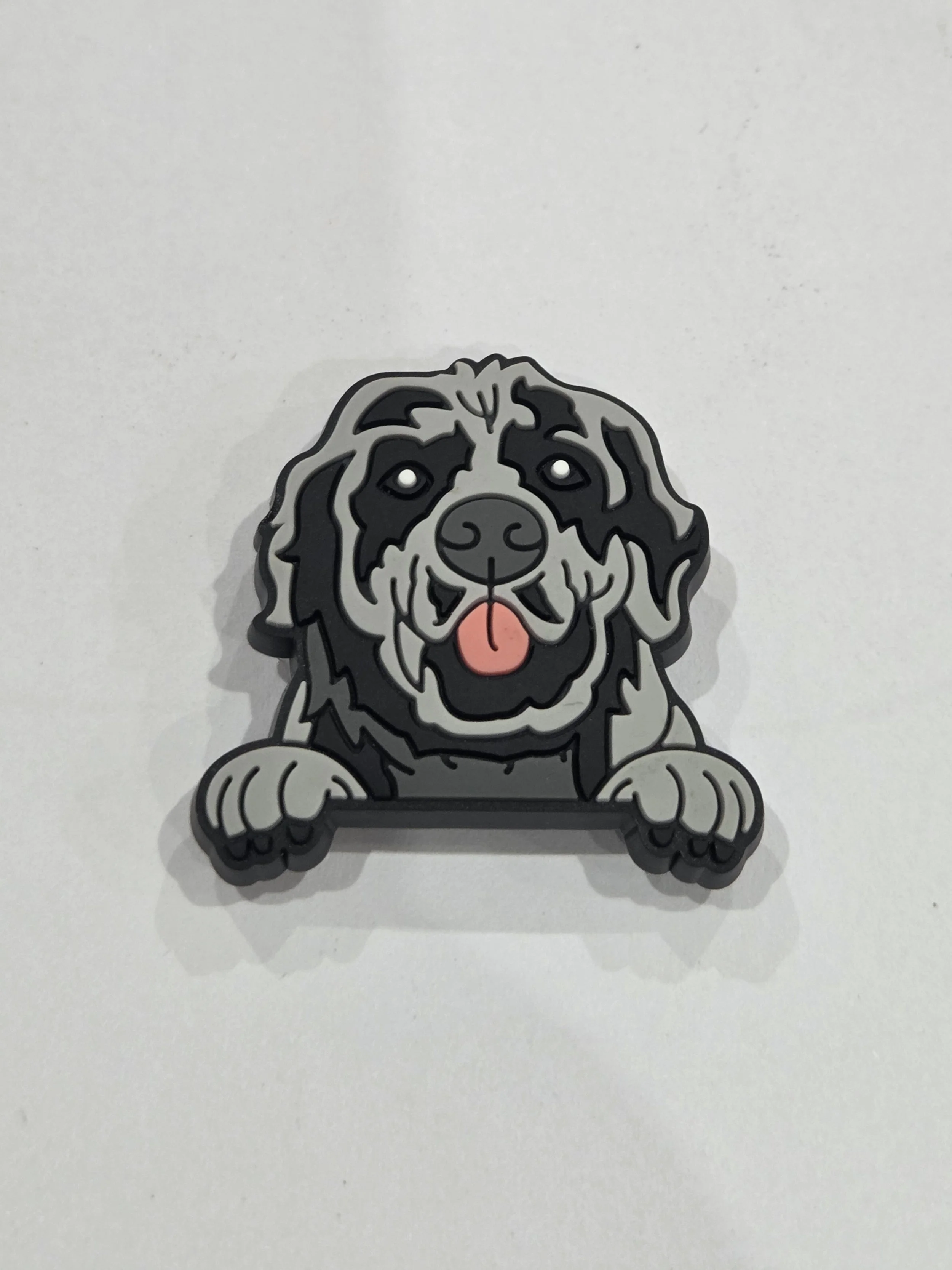 Newfoundland Dog
