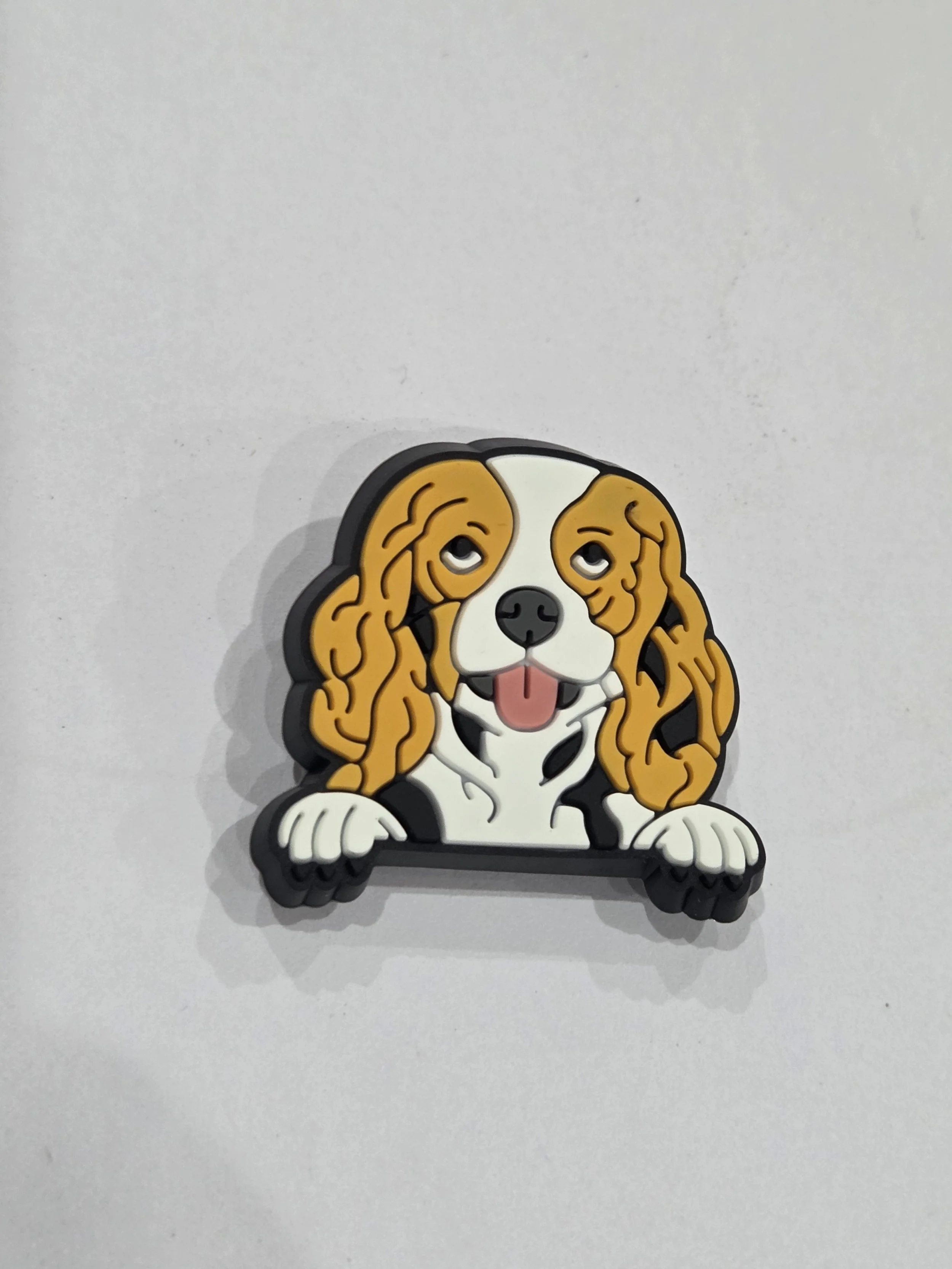 Cavalier King Charles