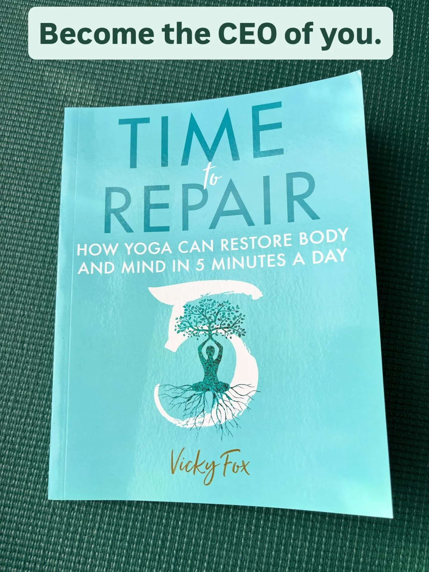 Time to repair explores shorter yoga practices to help you restore mind and body. To take back control at a time when life might feel out of control. 

Especially useful if coming back to movement after periods of rest or when needing more nurture an