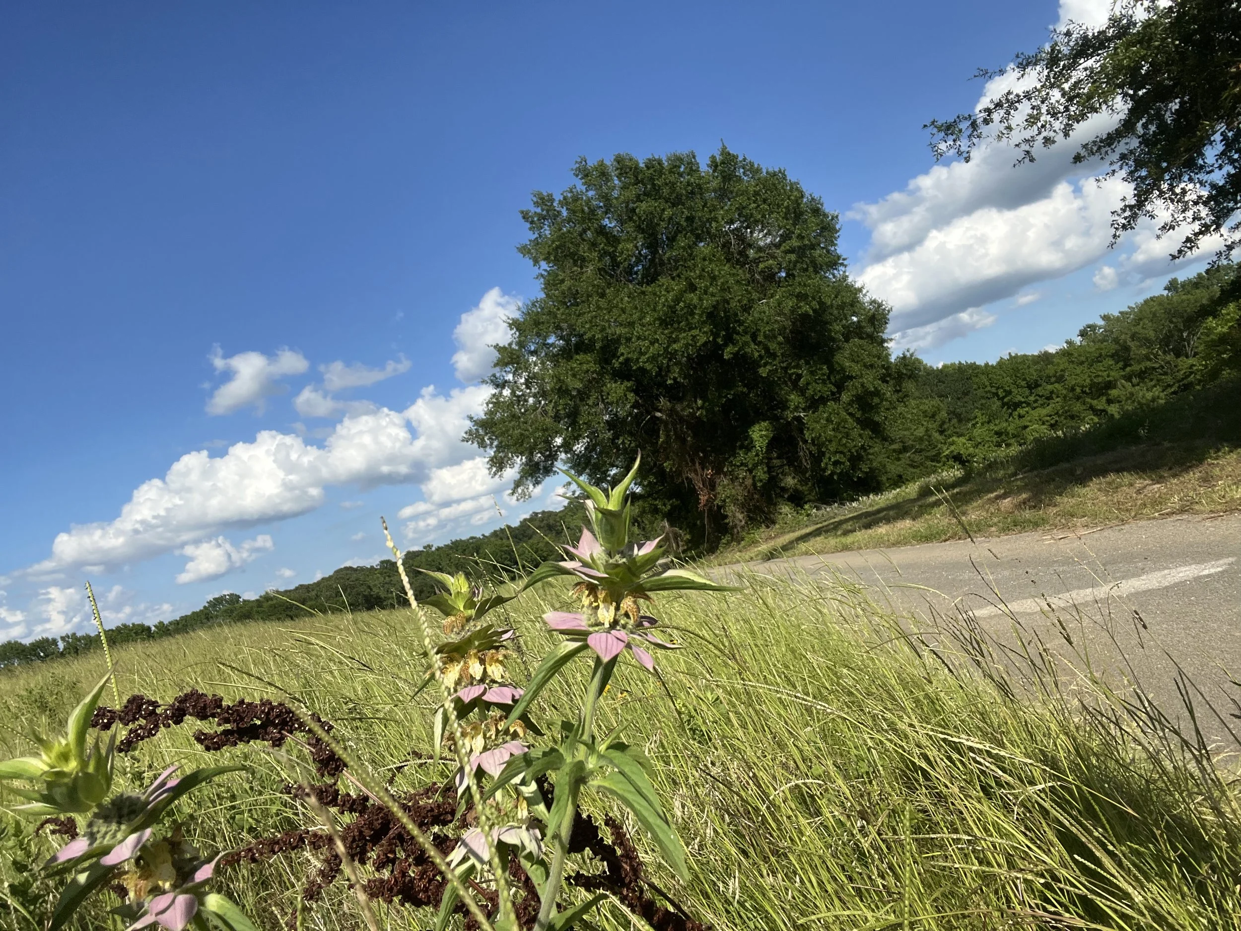 Encourage Yourself in The LORD