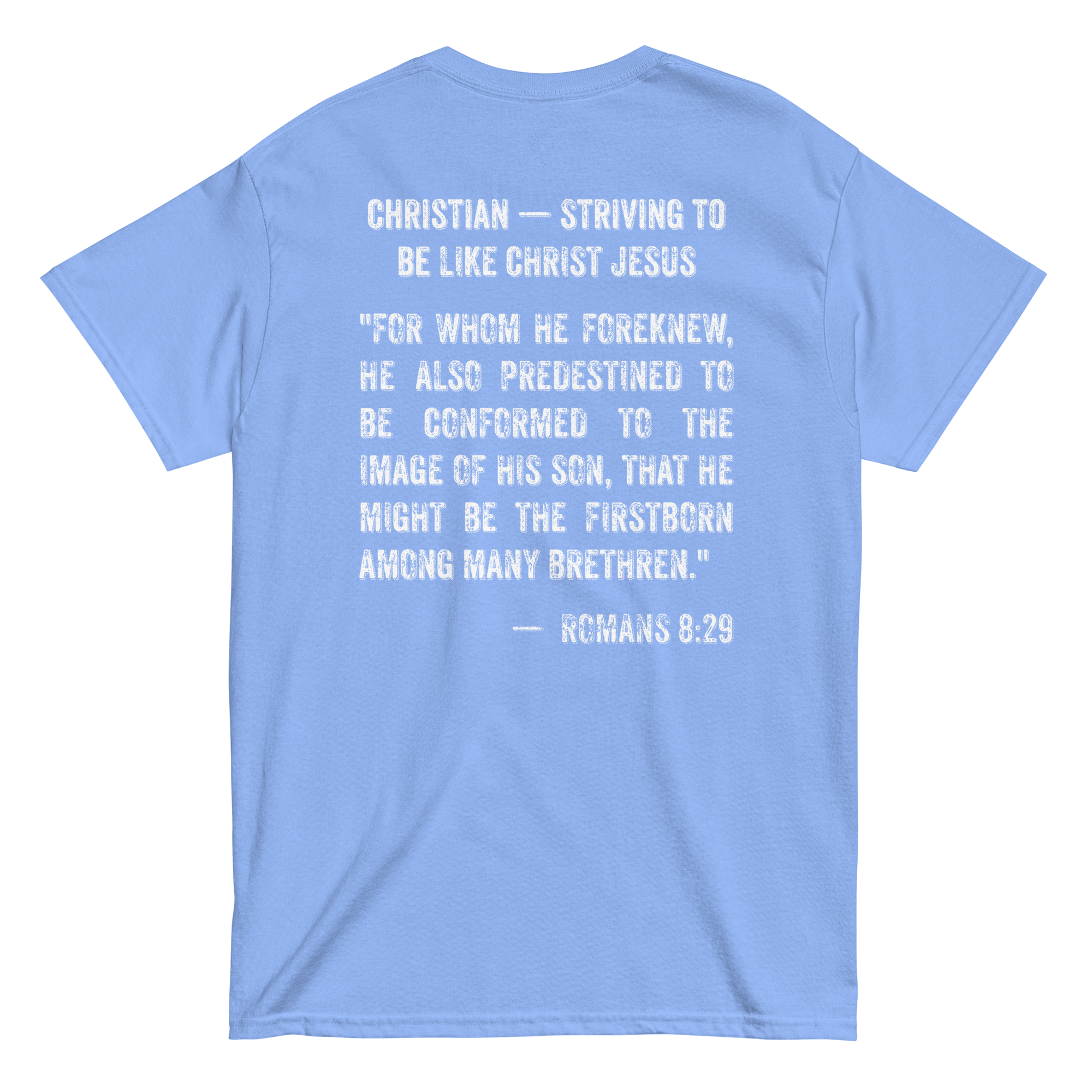 unisex-classic-tee-carolina-blue-back-69a7ba1542332.png