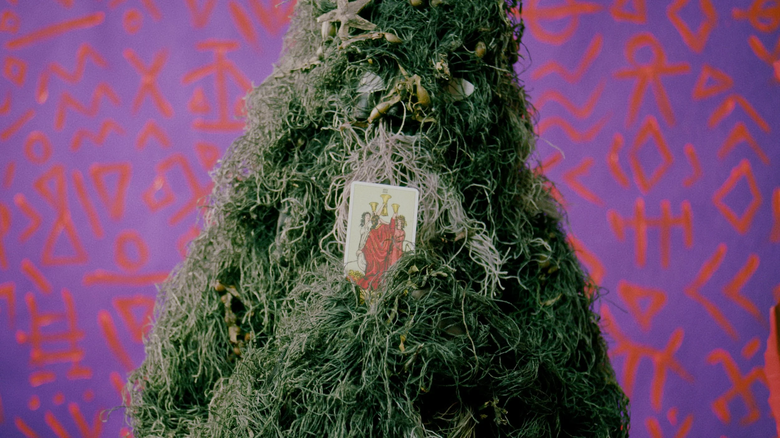 A Brief History of Naturalisation - Art Film