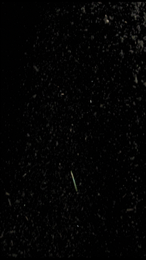 Hazy Earth - Multidisciplinary Art Project