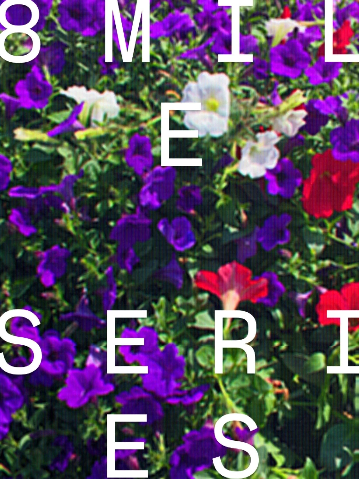 Flower Bed, Bryce Williams.jpg