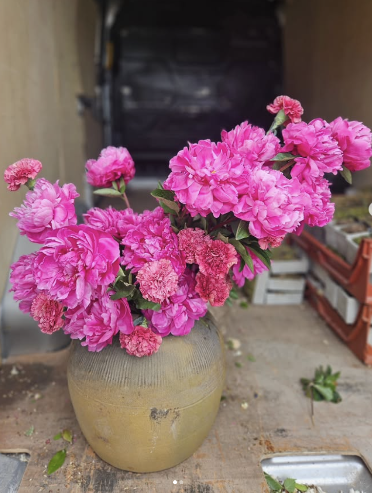 In Praise of Colour