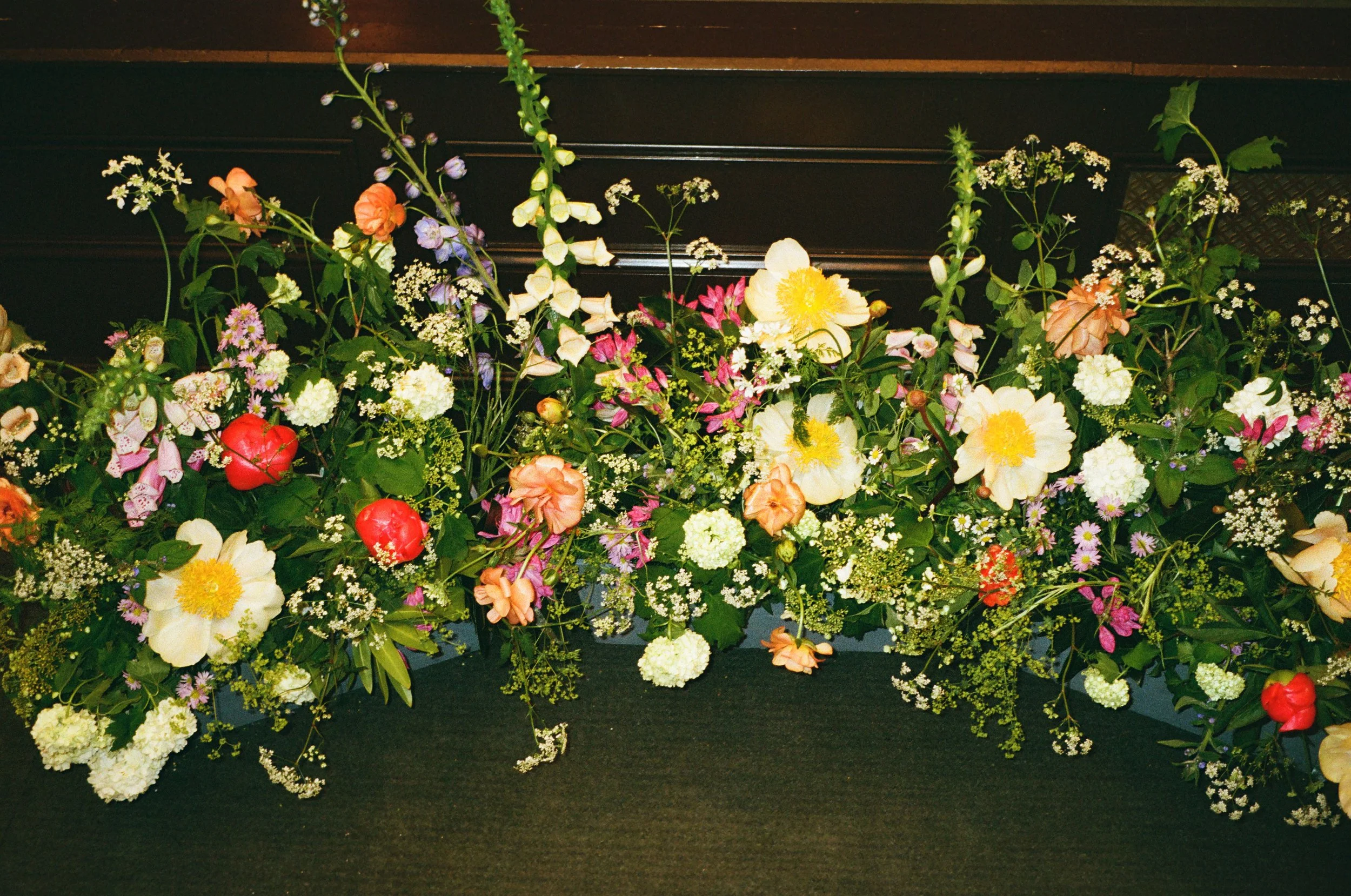 E&M-35mmfilm-lisajanephoto-001.jpg