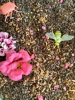 garden 2.jpeg
