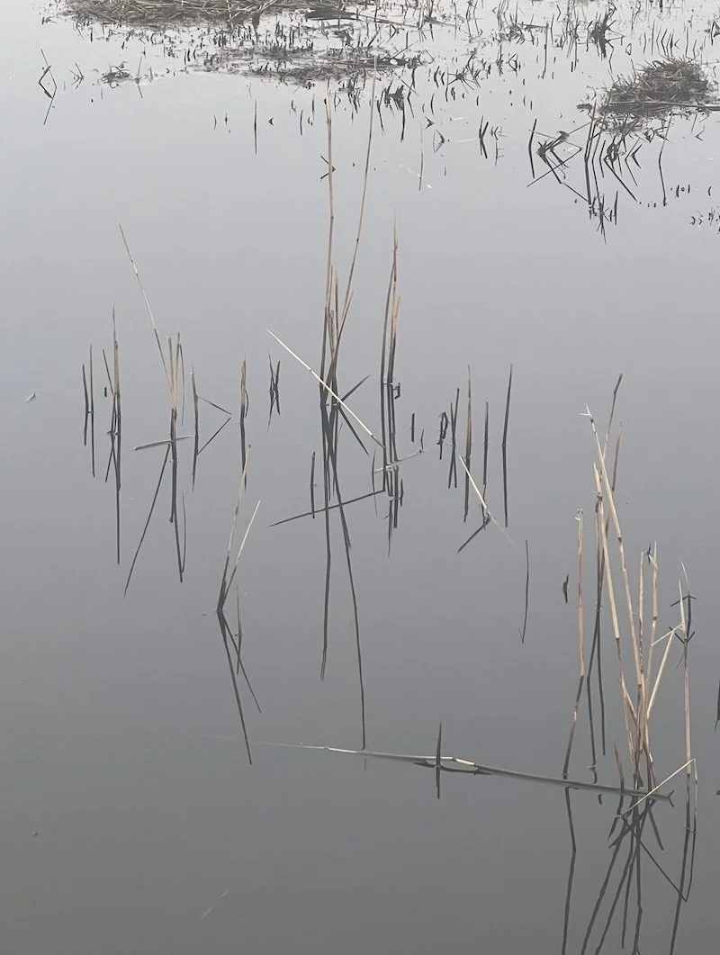 Wenn sich das Leben plötzlich leer anfühlt 