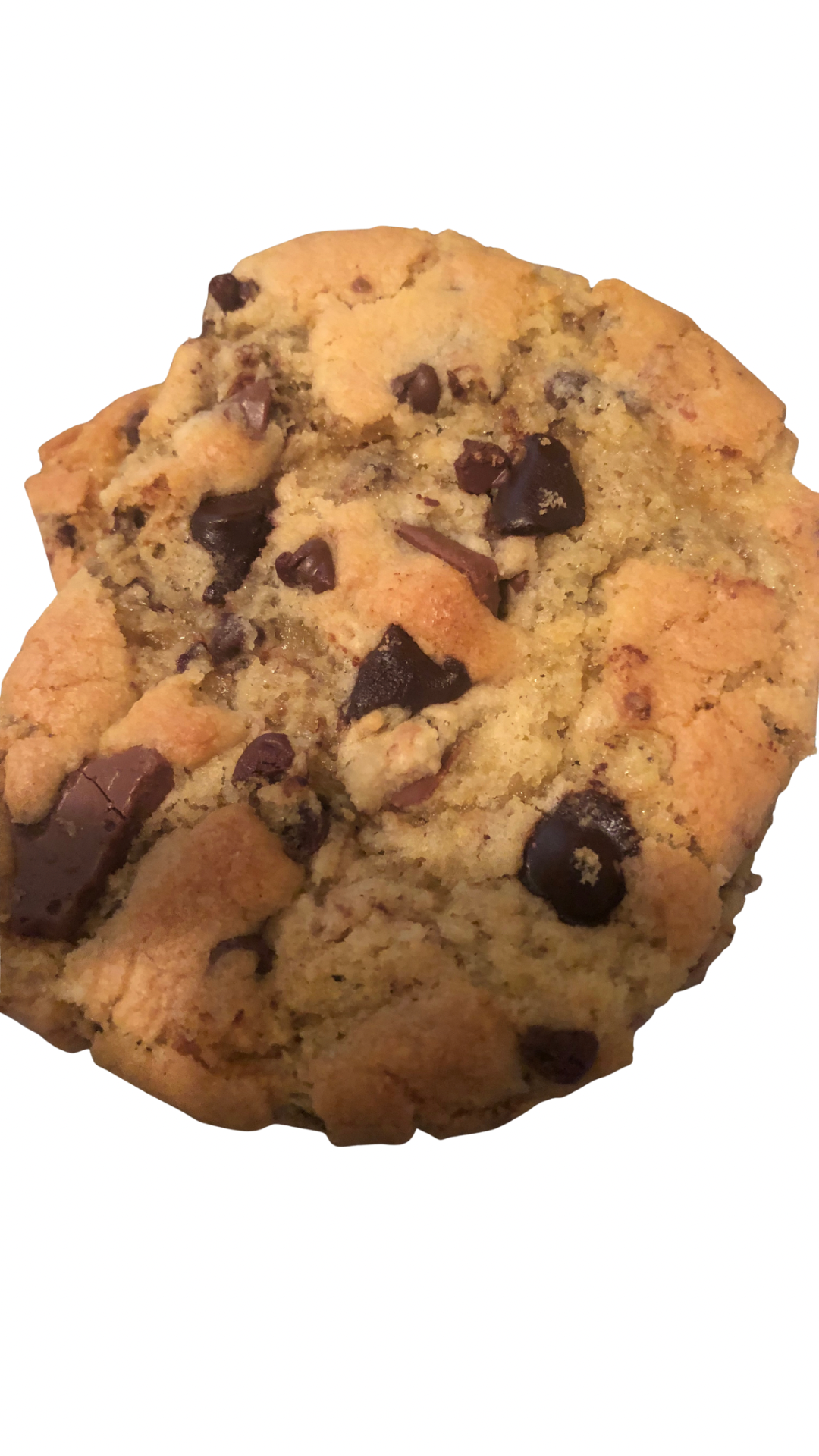 Chocolate Chip Cookie