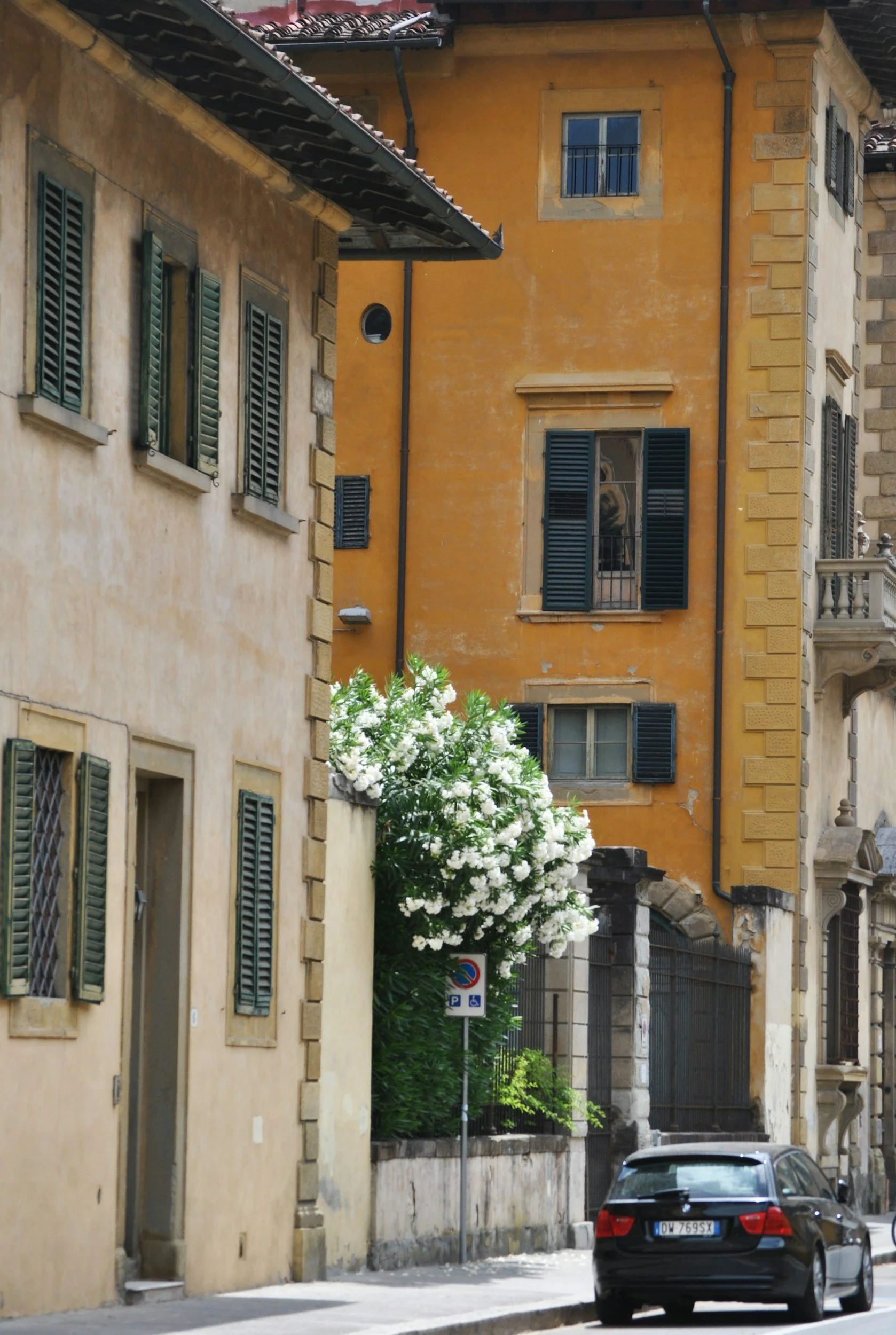 Vista stradale con edifici gialli e beige con persiane verdi, un albero in fiore, un’auto nera parcheggiata e un segnale di divieto di sosta.