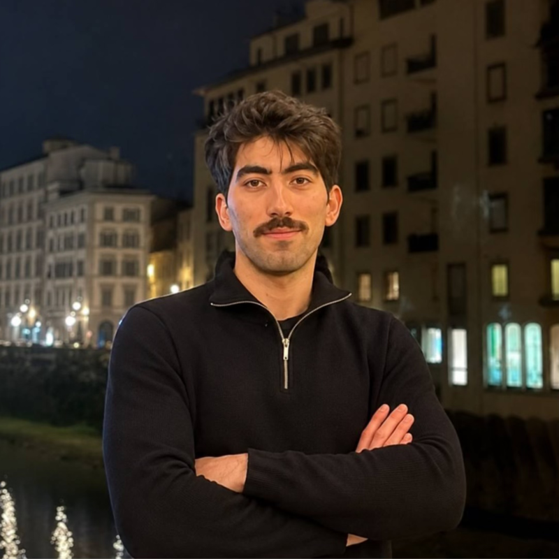 Portrait of Amir Vafaee Noughabi