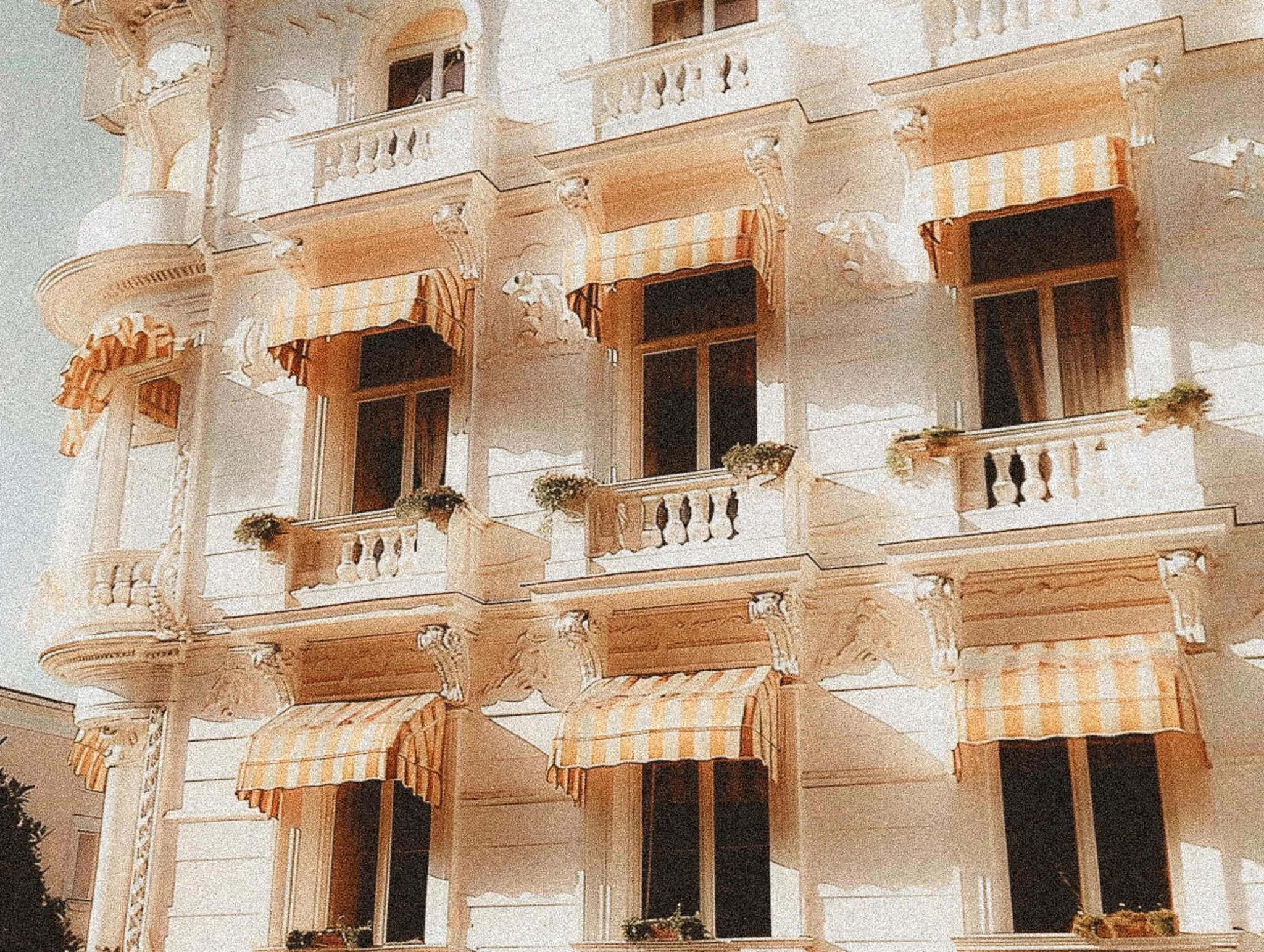Sunlit Nostalgia-32.jpg