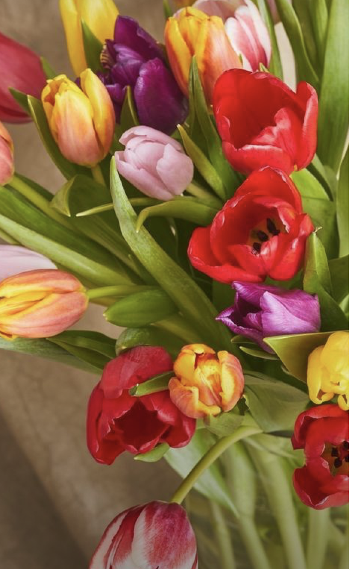 Screenshot 2026-03-09 at 7.45.39 PM.png