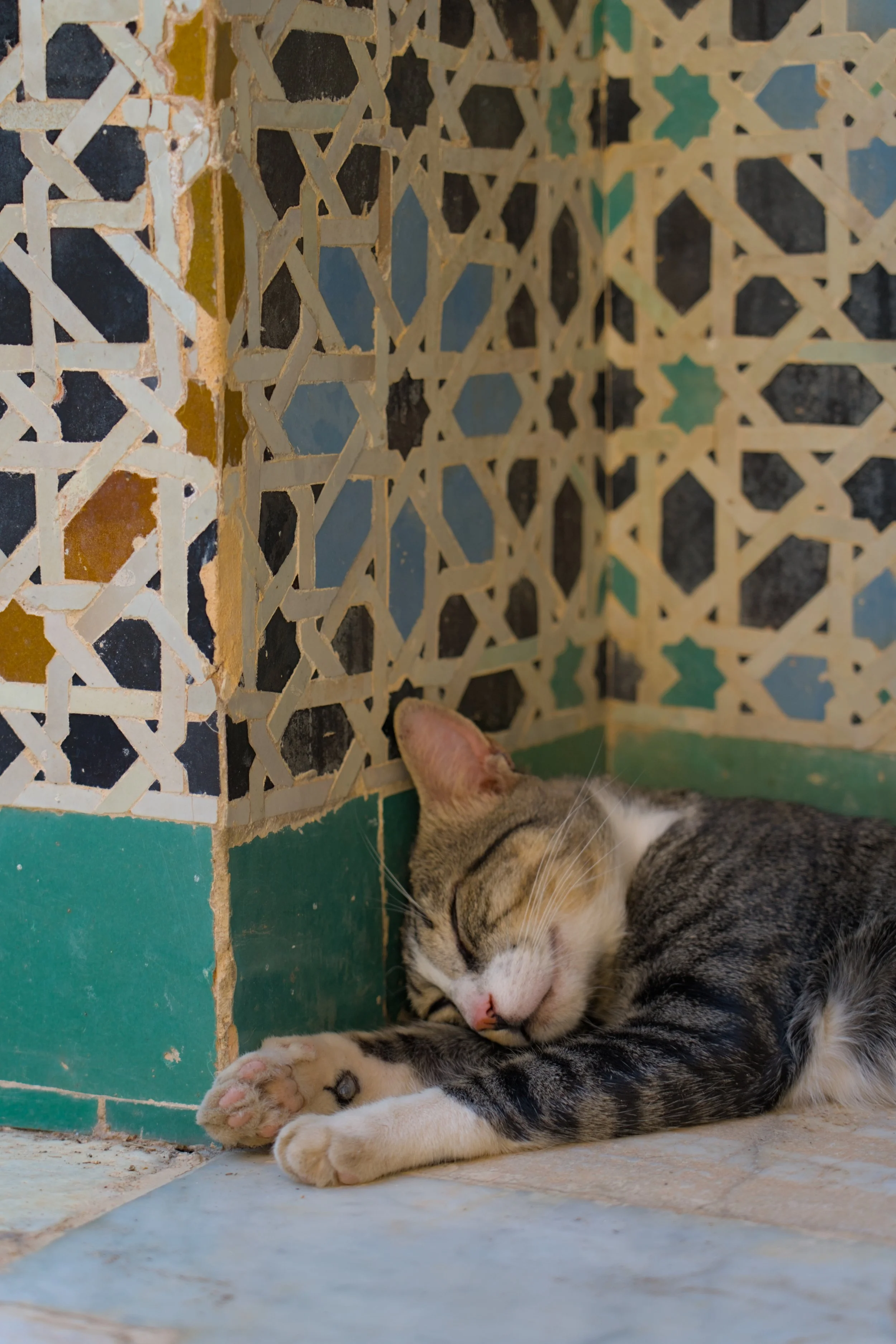 DSC06533.jpg