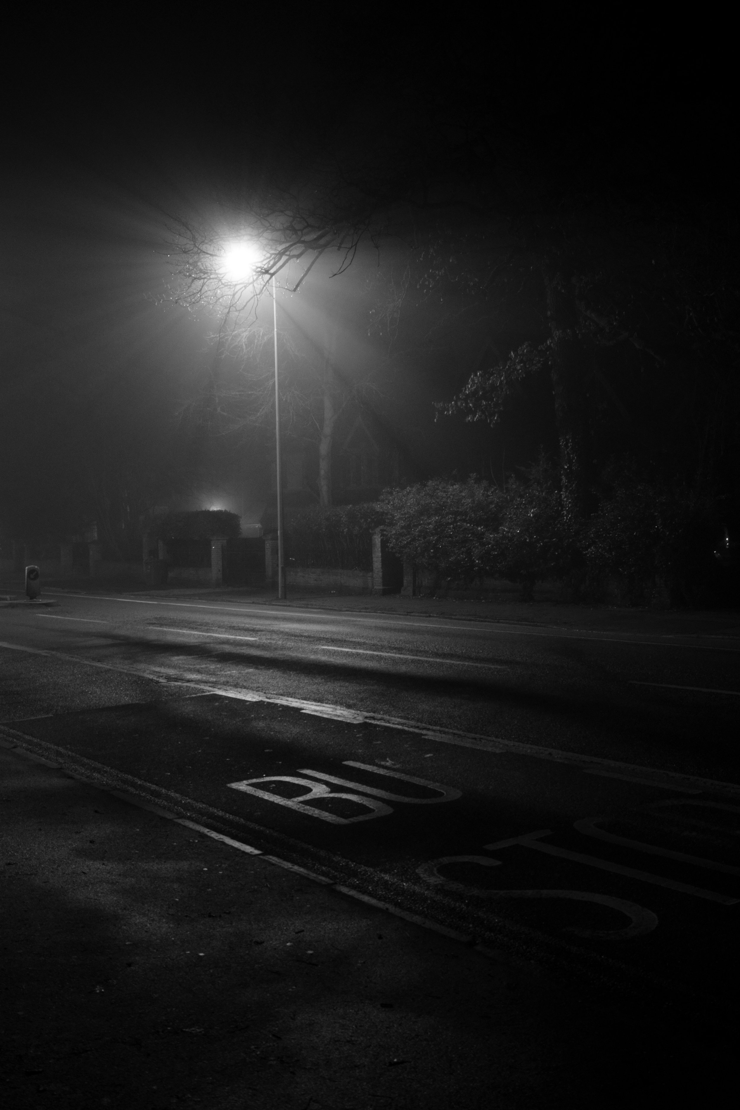 DSC00347 bw.JPG