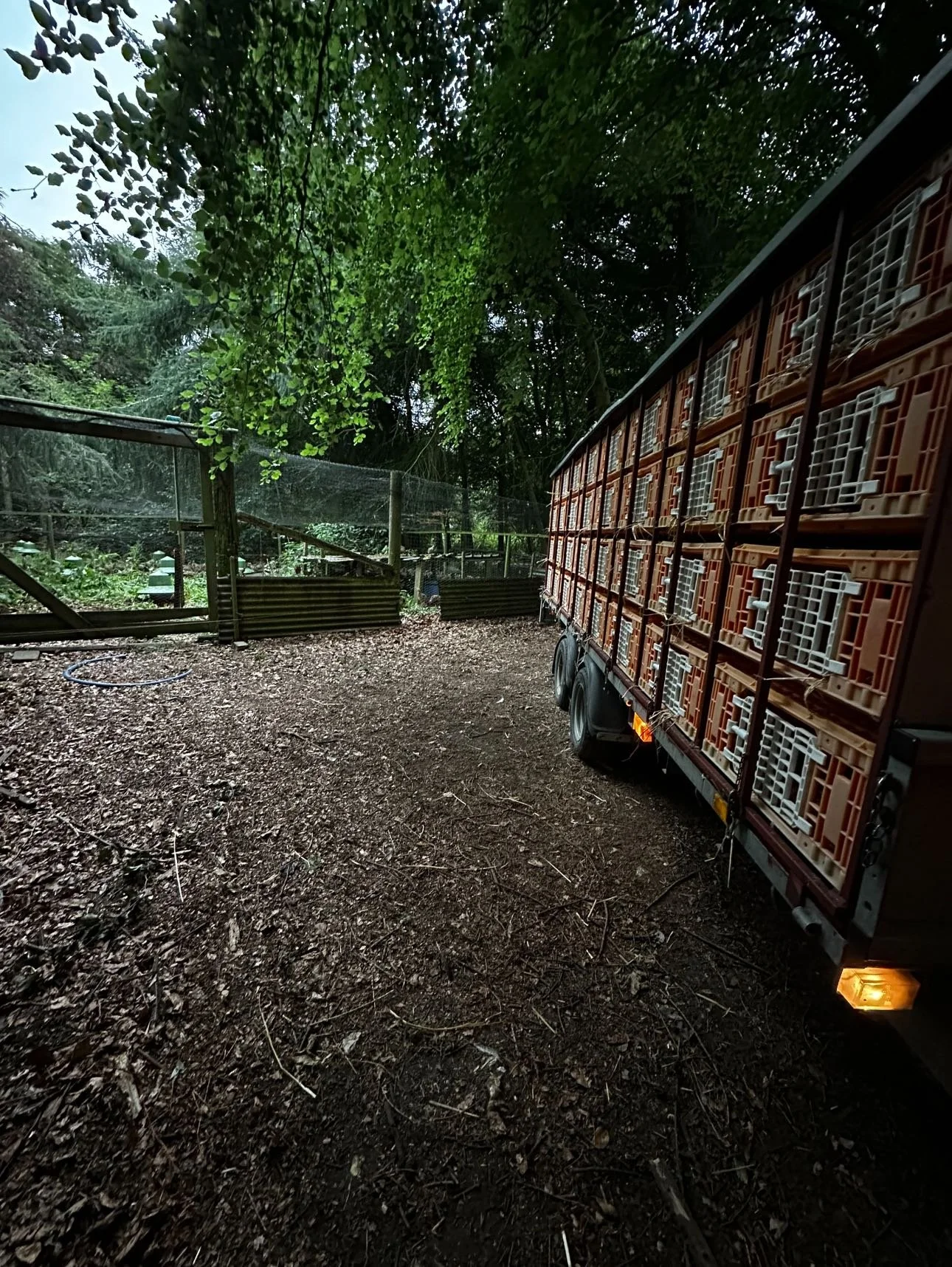 A dirt pathway in a wooded area with a large truck loaded with orange plastic crates on the right side. A fence and trees are visible in the background.