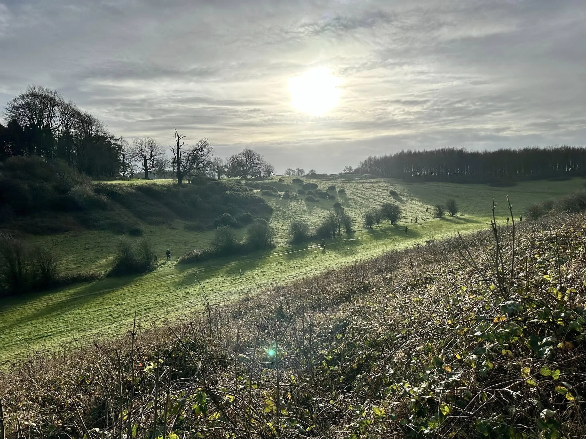 Two men dressed in outdoor gear standing in a grassy field near a forest, smiling and talking, with one holding a walking stick and the other with a shotgun over his shoulder.