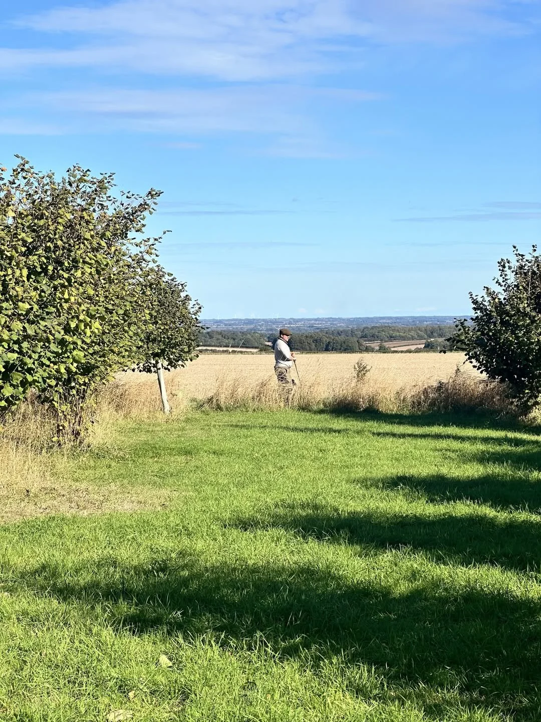 A man standing in a field, surrounded by trees and tall grass, with a blue sky overhead.