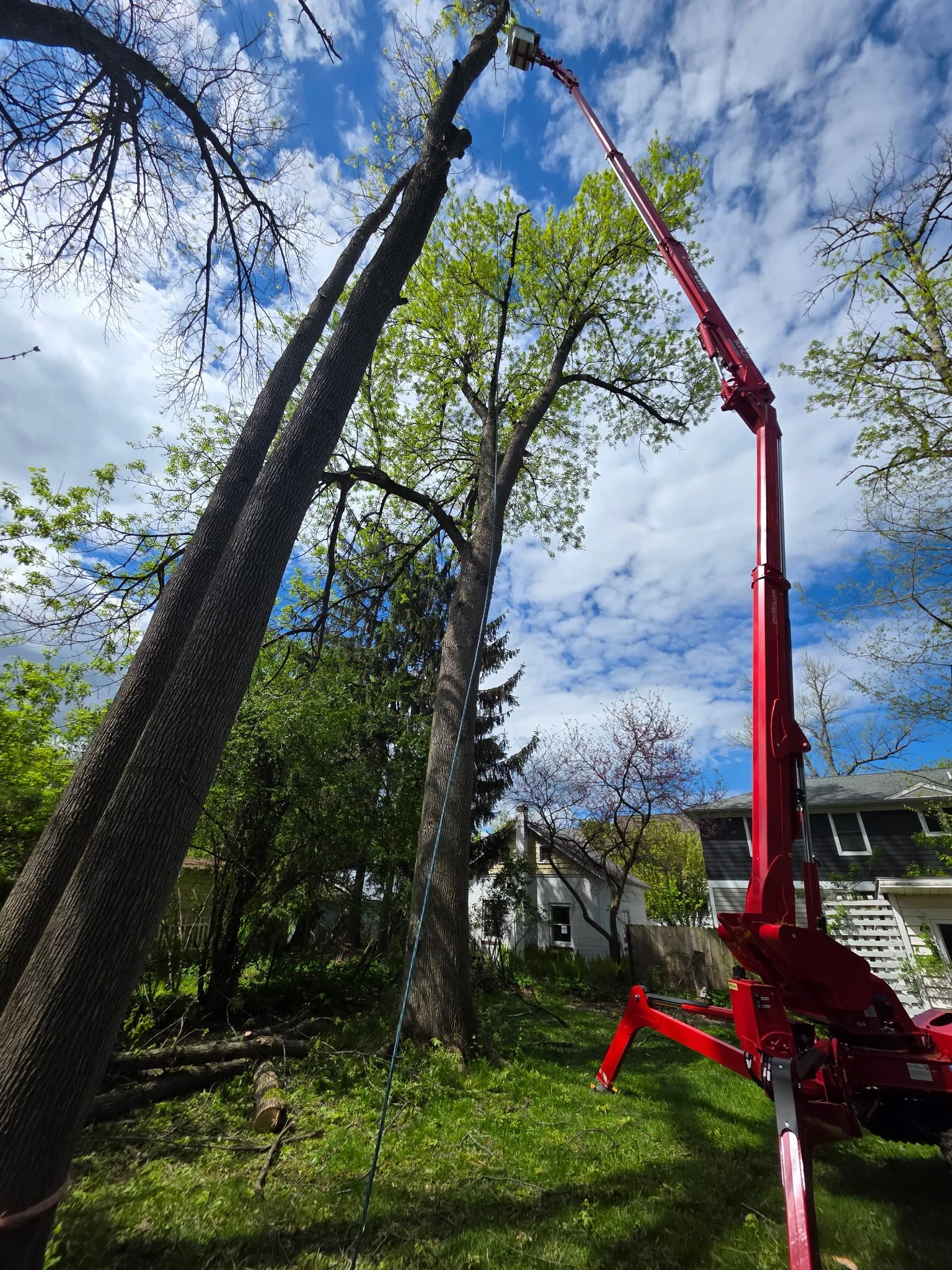 A tree trimming or removal process with a cherry picker lift extended to a tall tree, in a suburban backyard with houses and a partially cloudy sky.