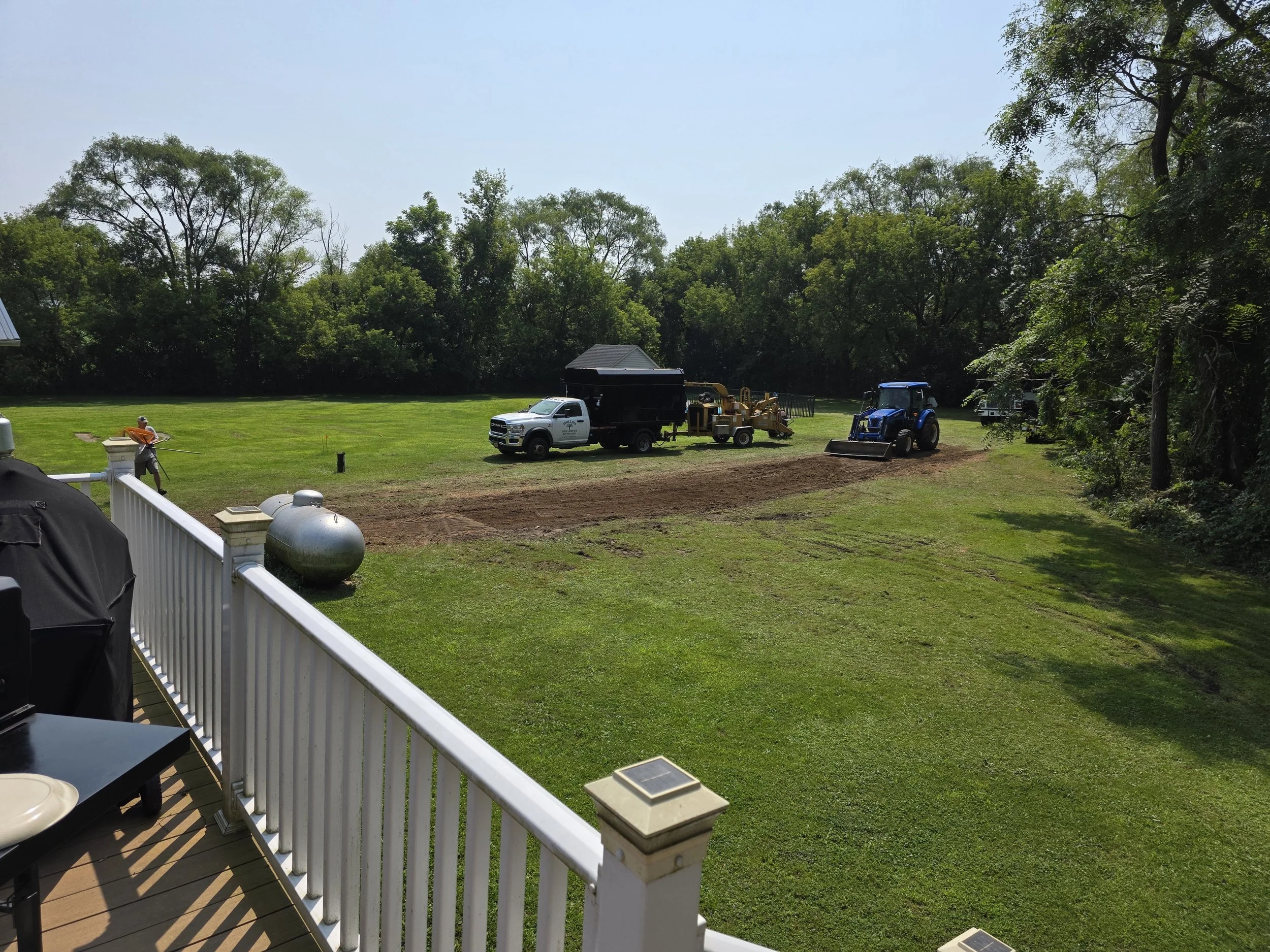 Completed after multiple tree removal