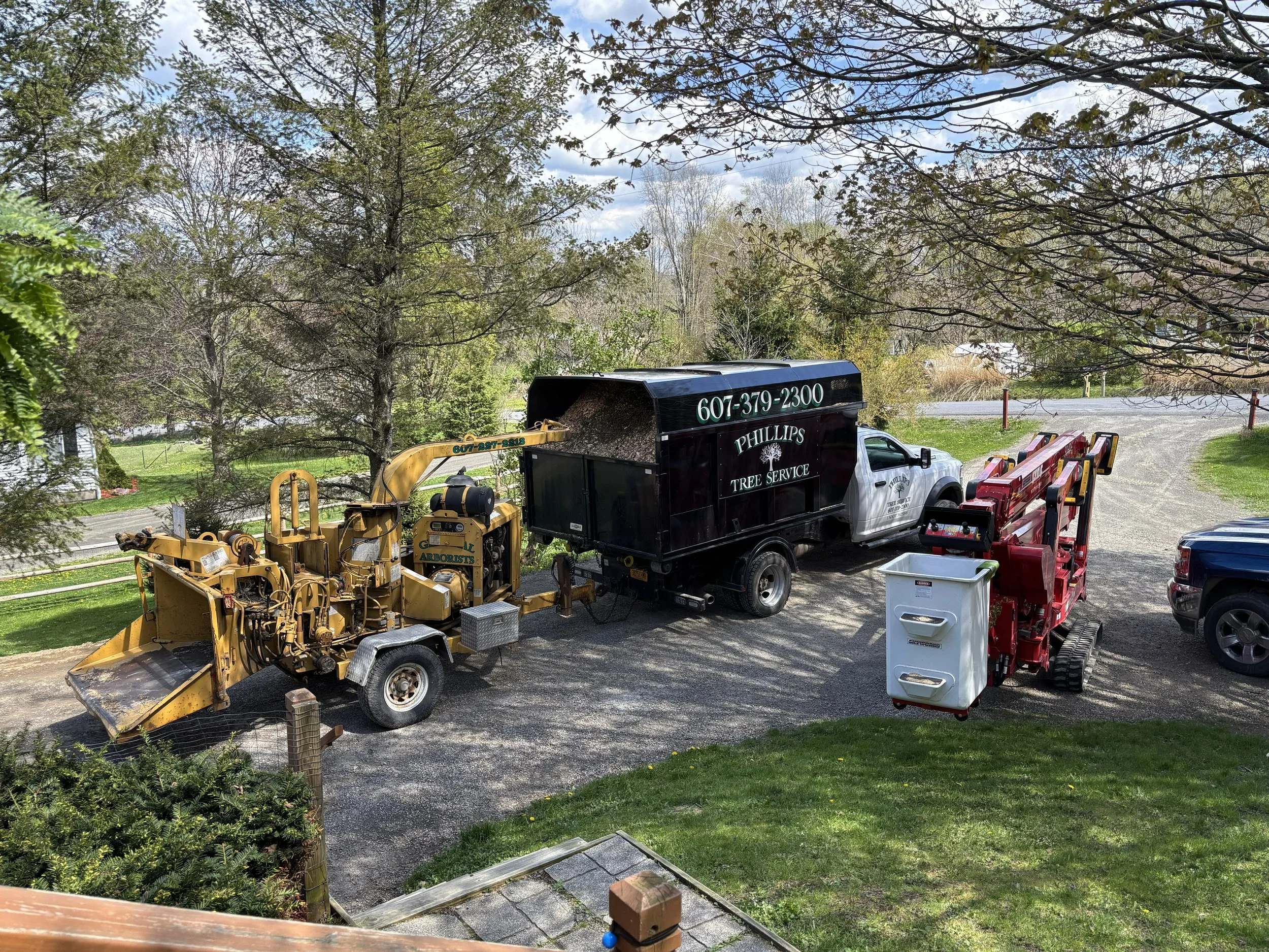 Tree service truck and equipment parked in a yard surrounded by trees and greenery on a partly cloudy day.