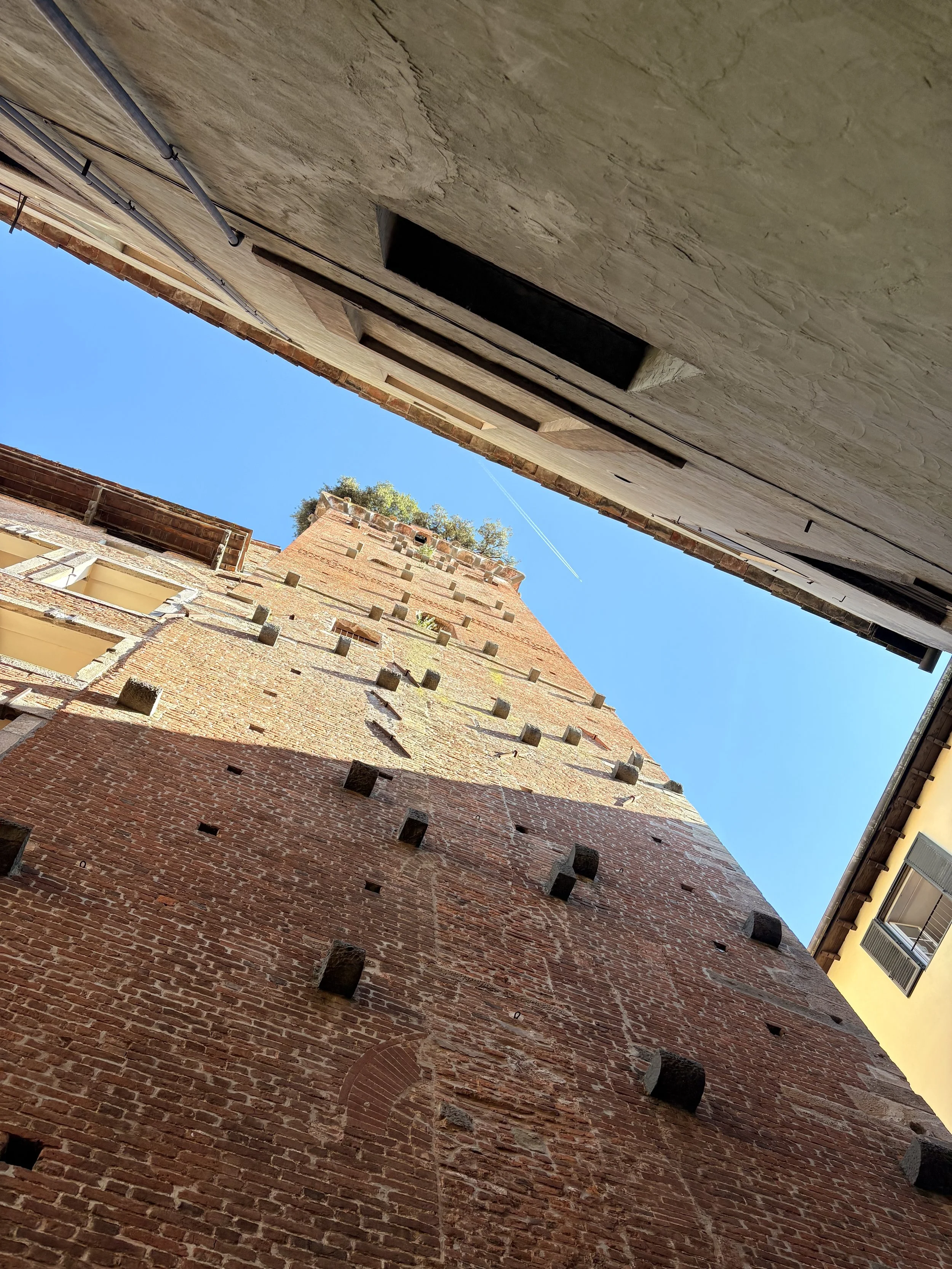 IMG_6422.jpeg