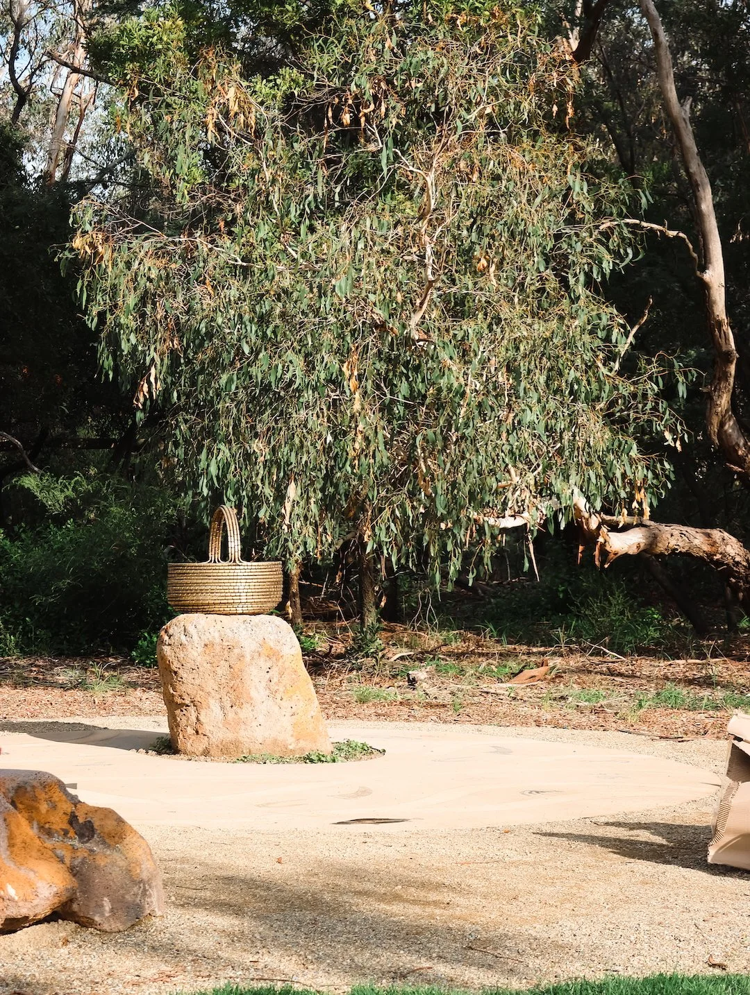 Celebrating Aunty Dot — Public Art Commission