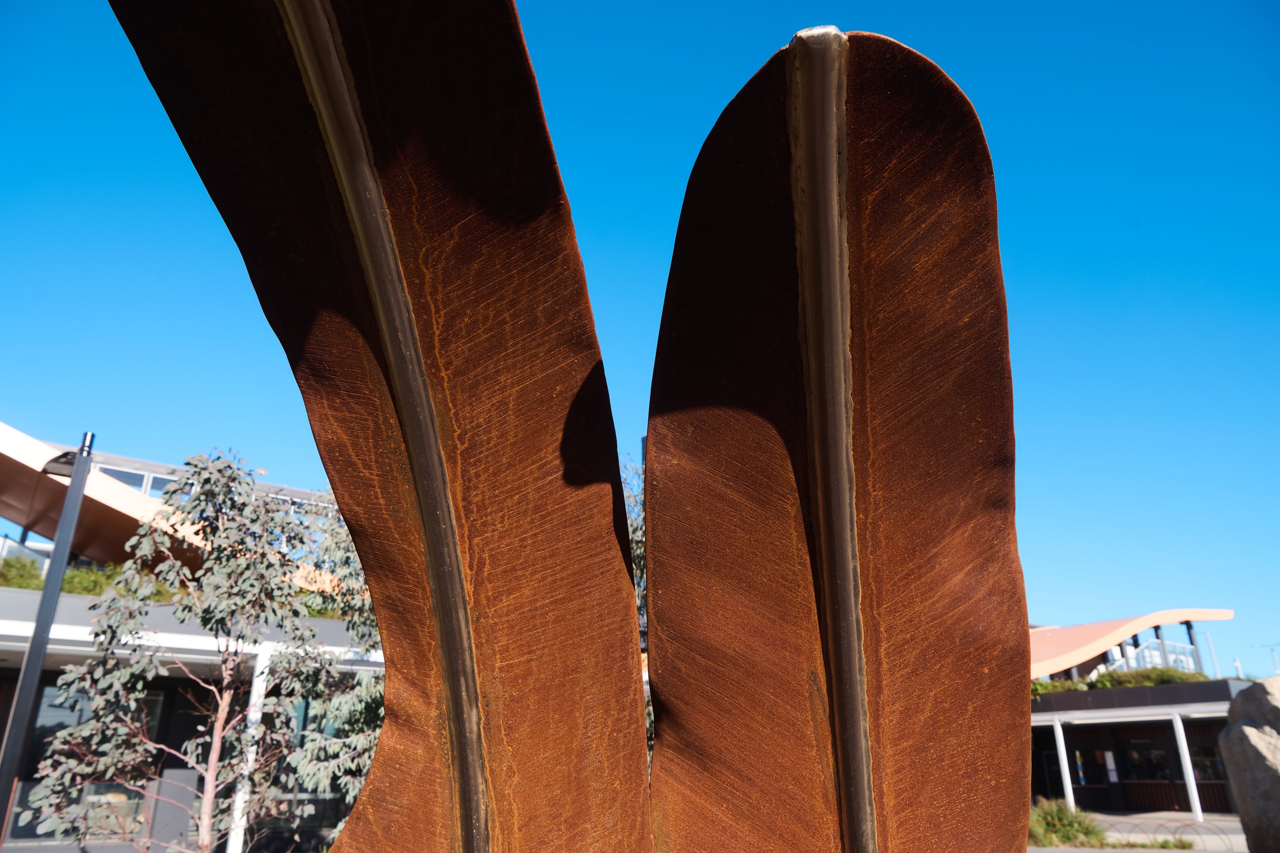 © WRAP-Simone Thomson-Bunjil's Wings-Fred Kroh-01.jpg