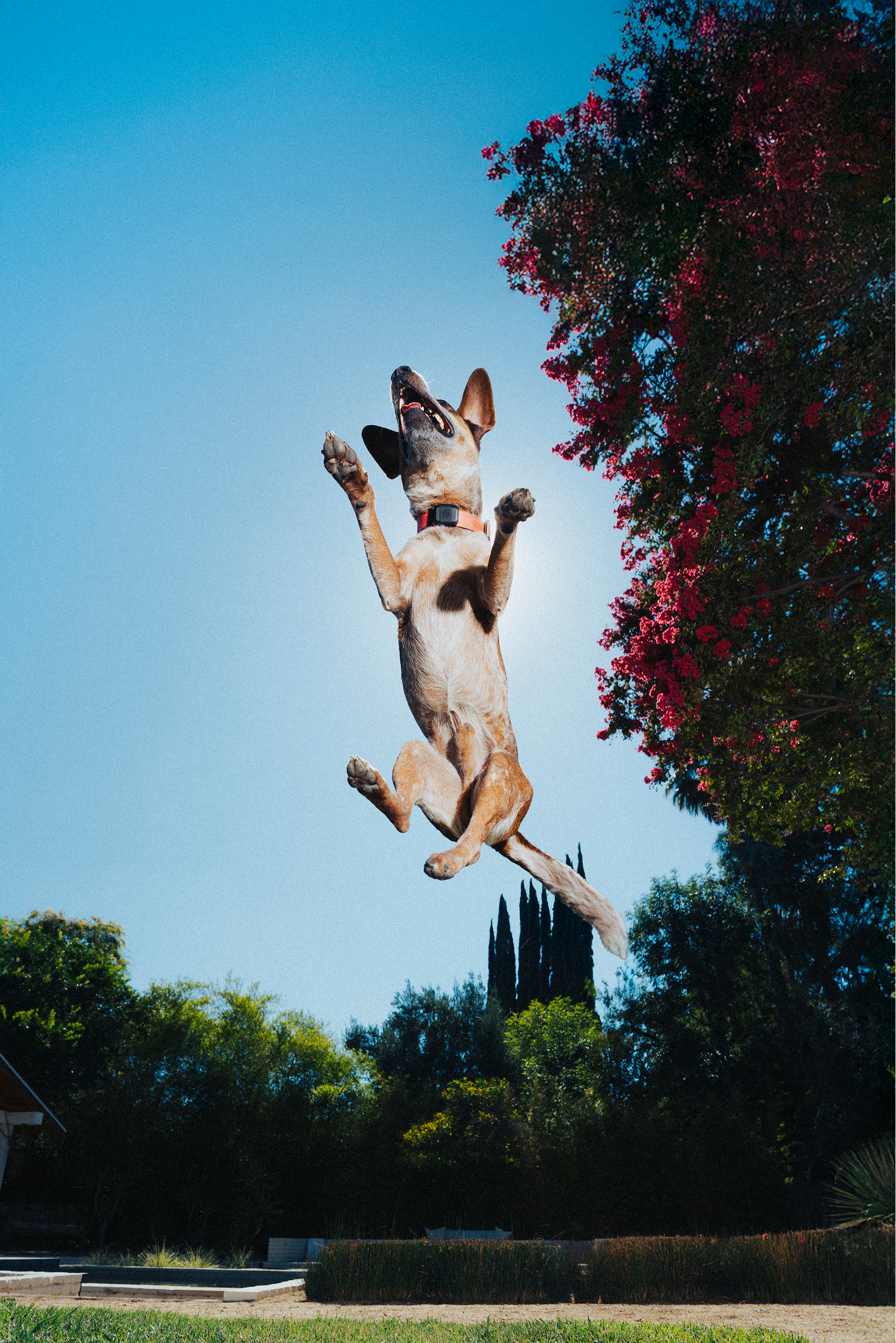 250711_Fi_RyoSato_2451-Edit-2.png