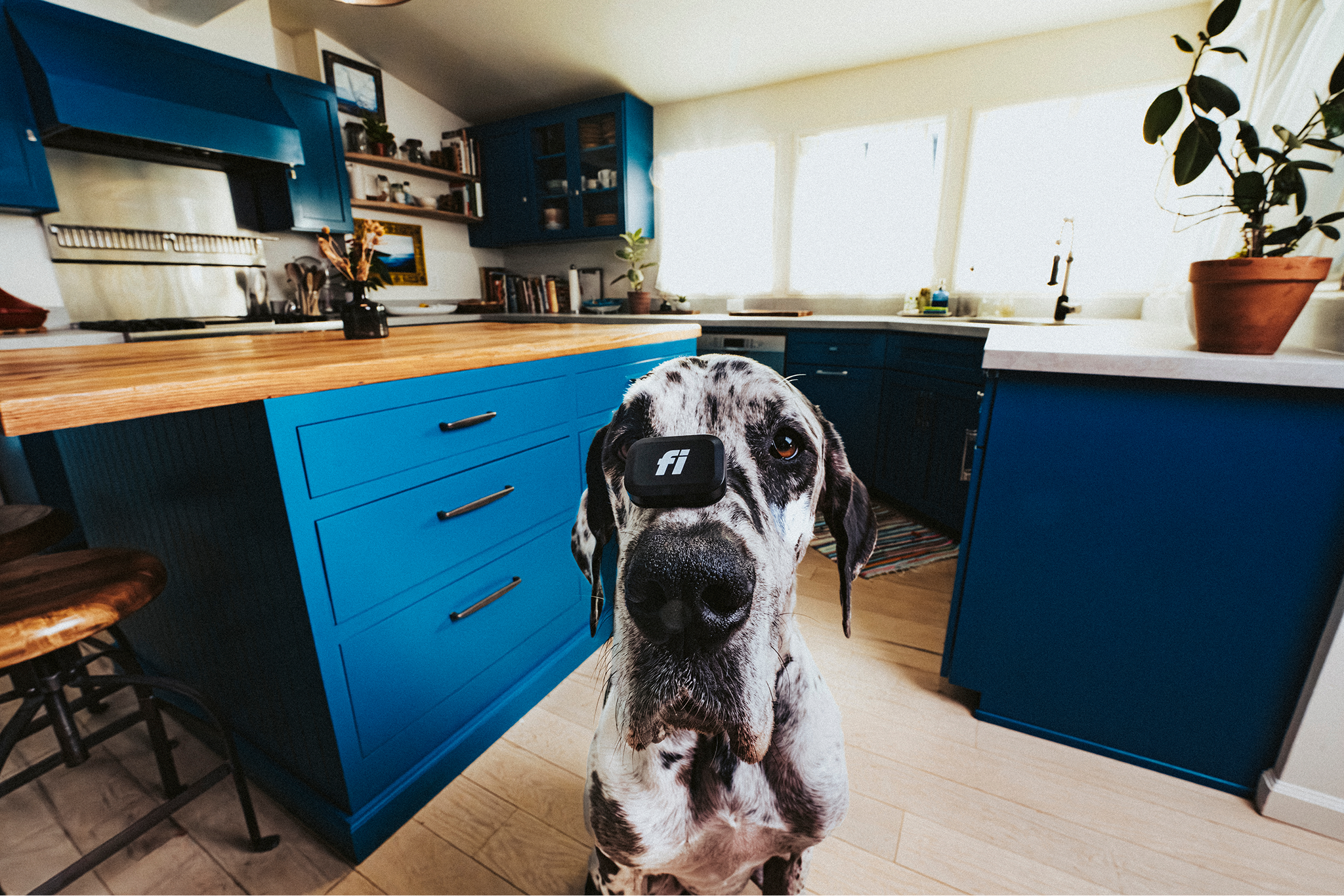 250711_Fi_RyoSato_0265-Edit.png